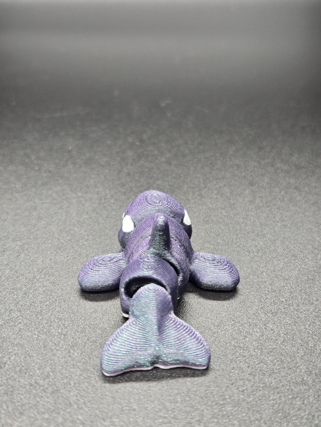 Orca Hatchling