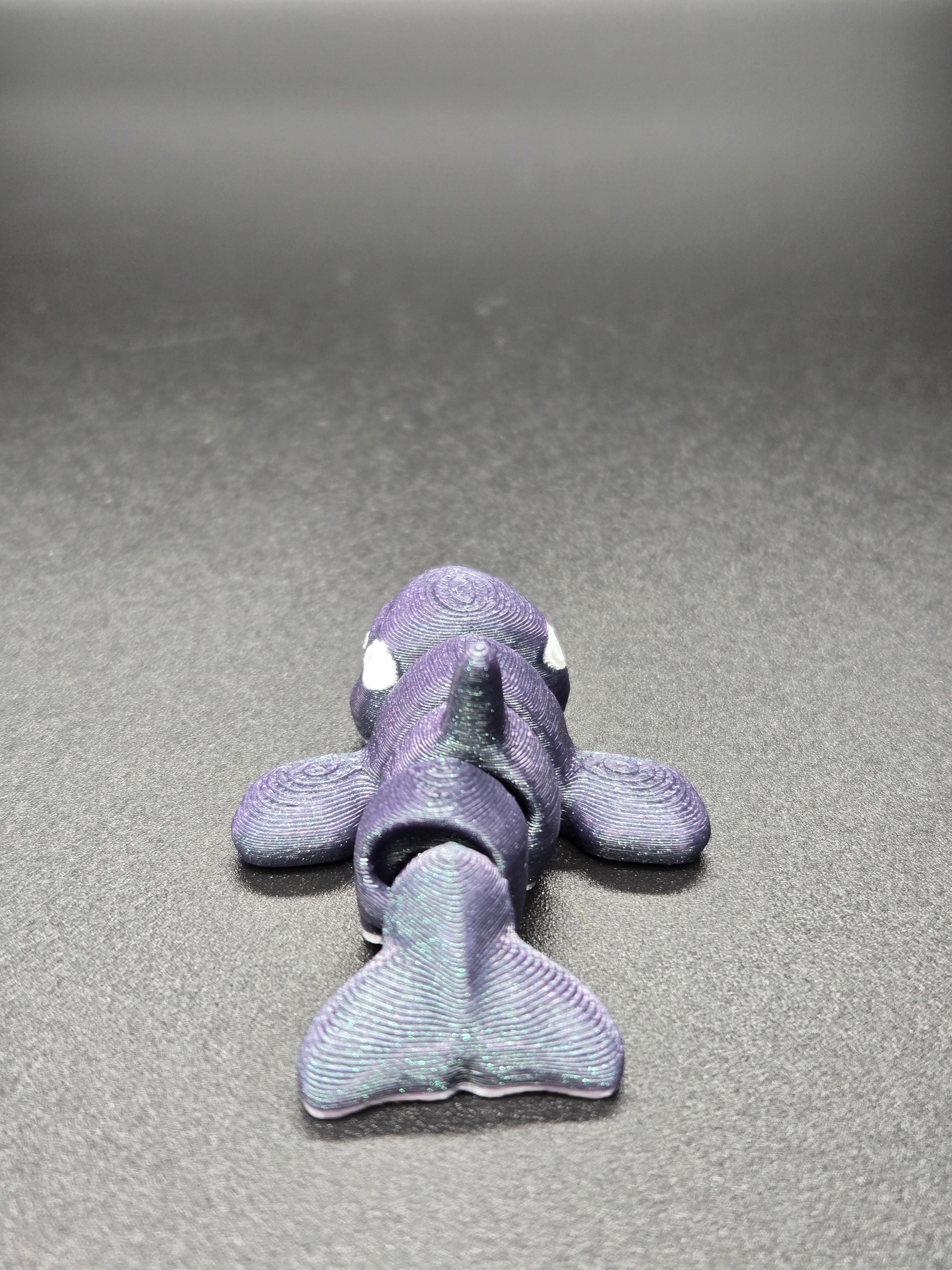 Orca Hatchling