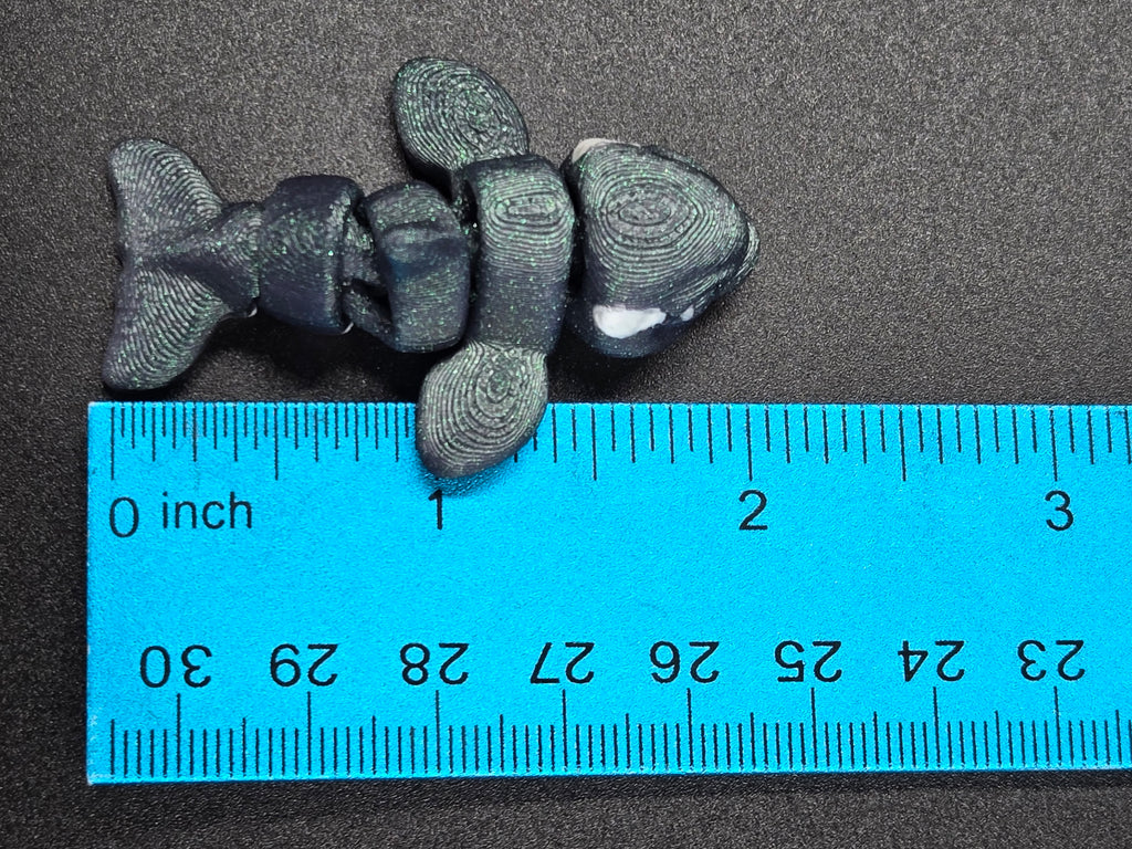 Orca Hatchling