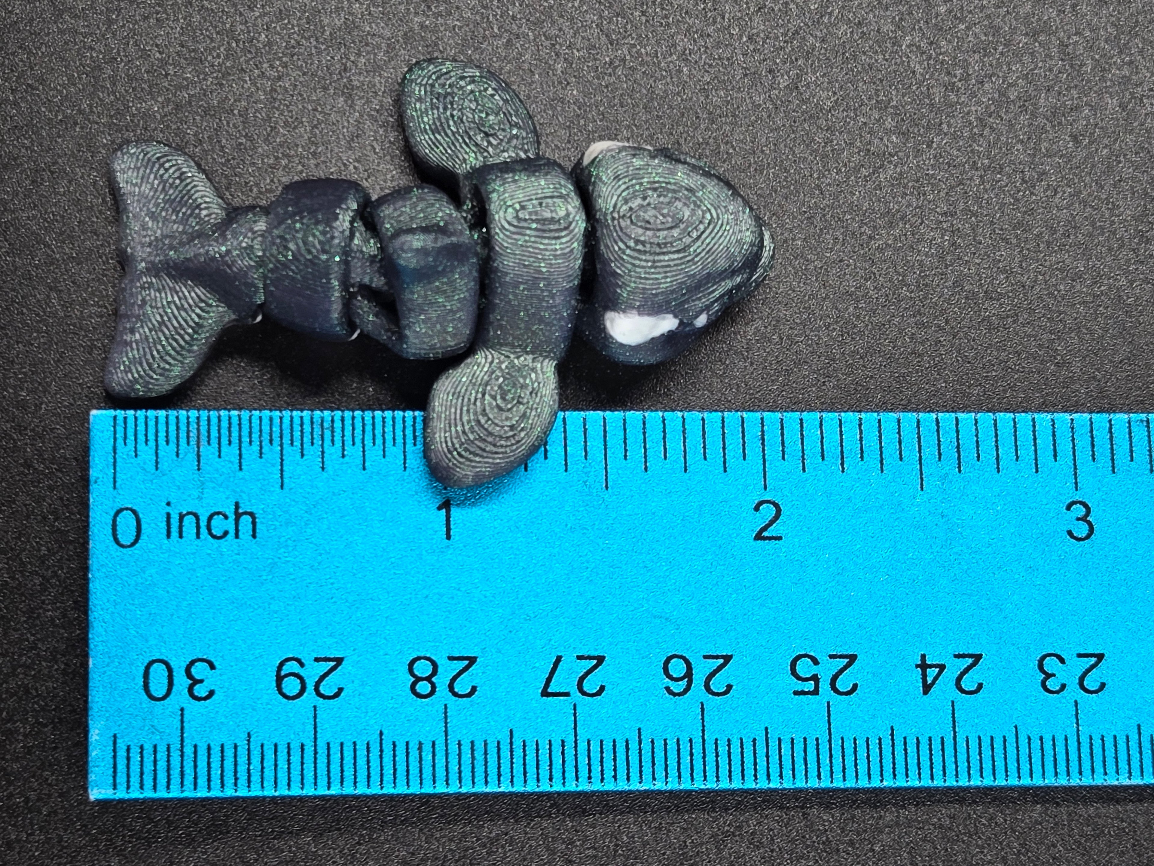Orca Hatchling