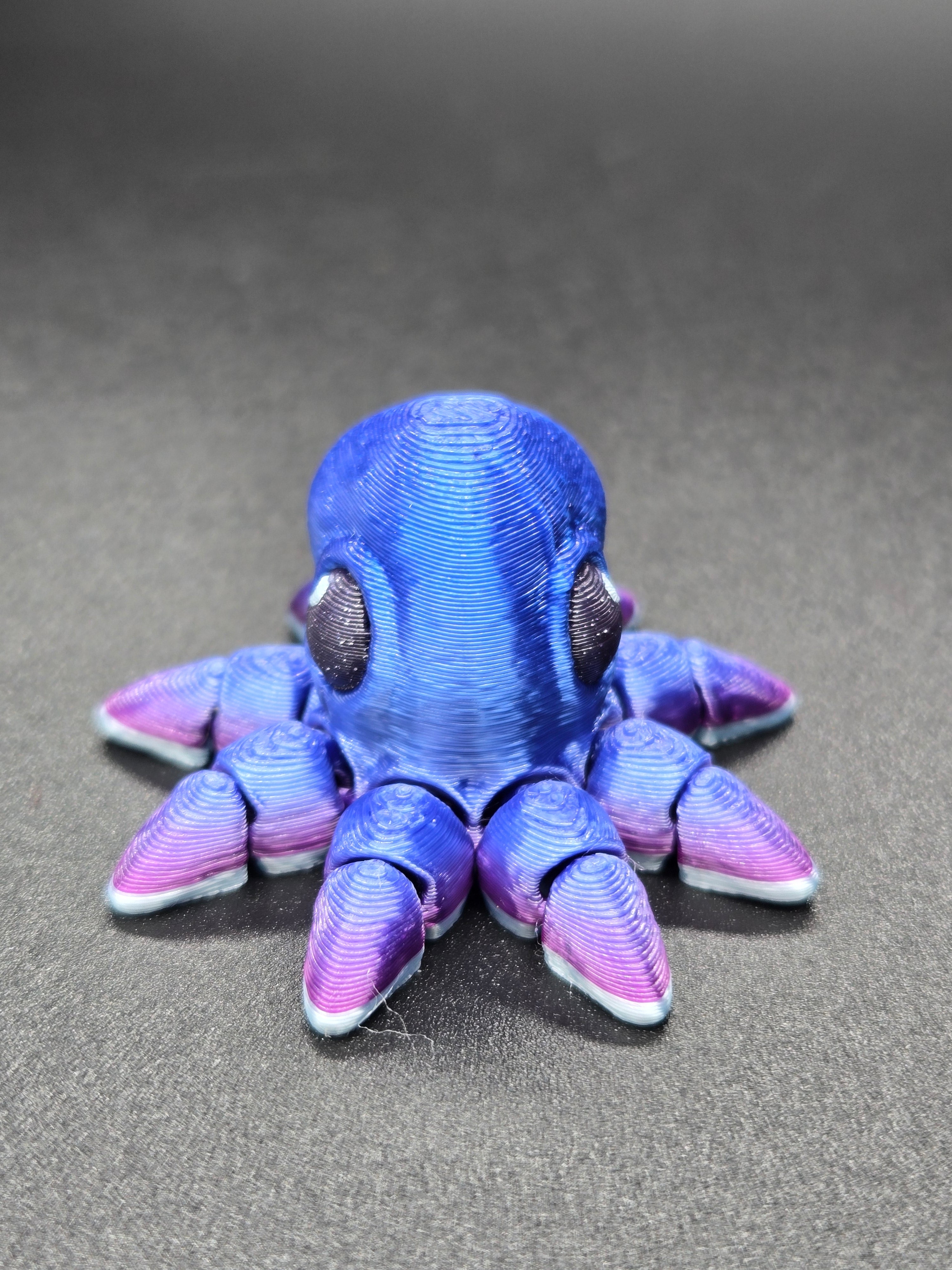 Octopus Hatchling