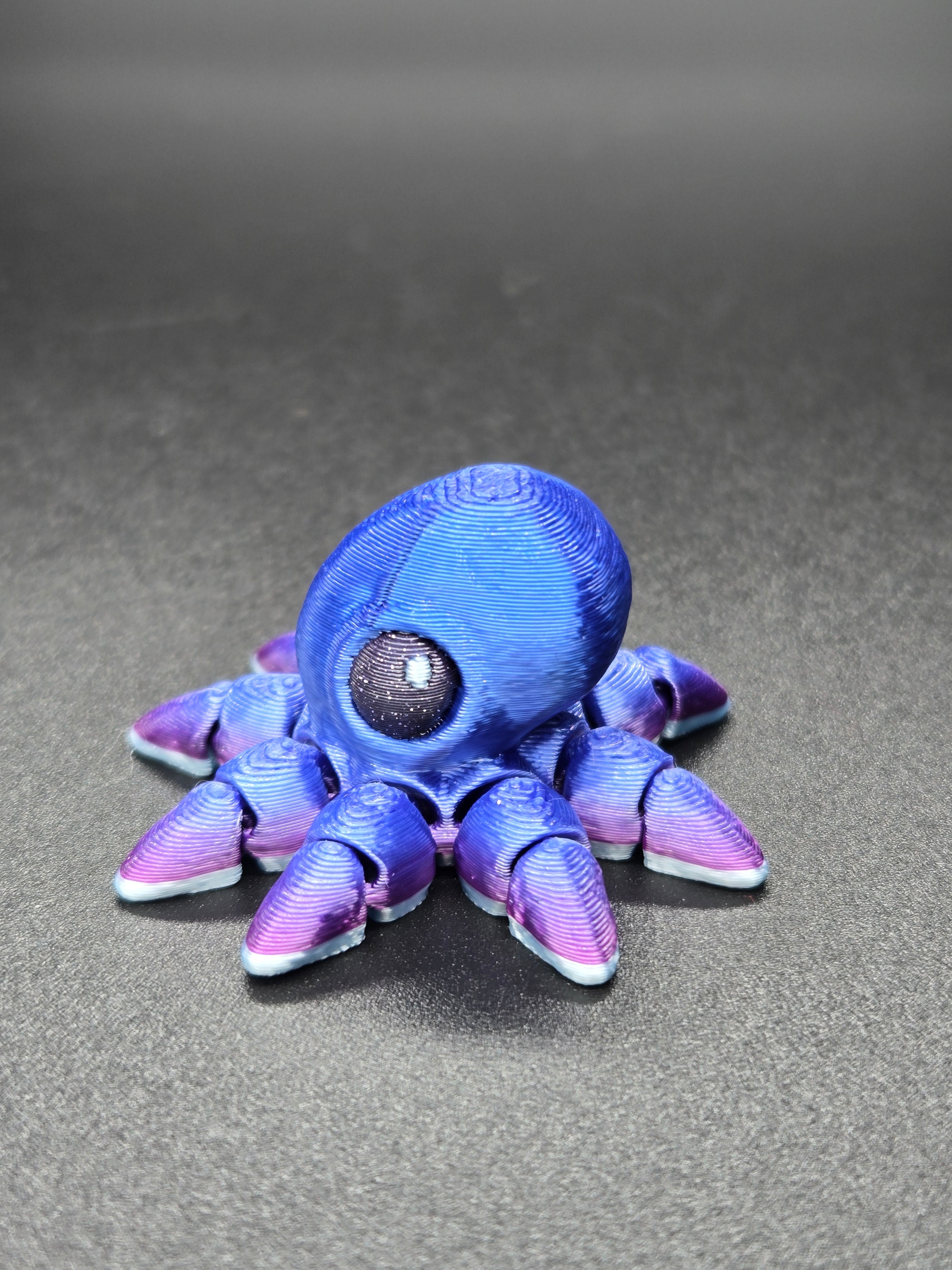 Octopus Hatchling