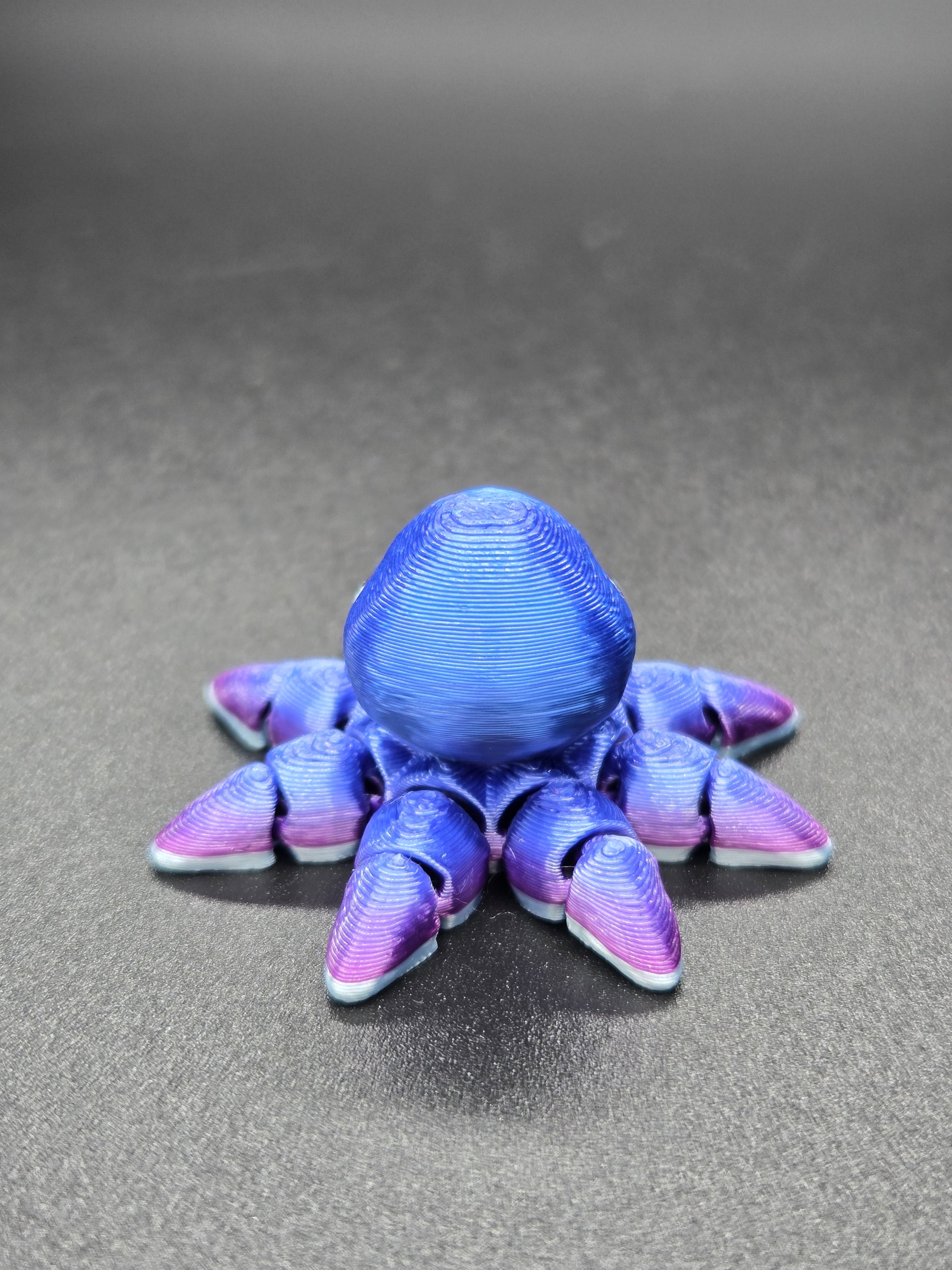Octopus Hatchling
