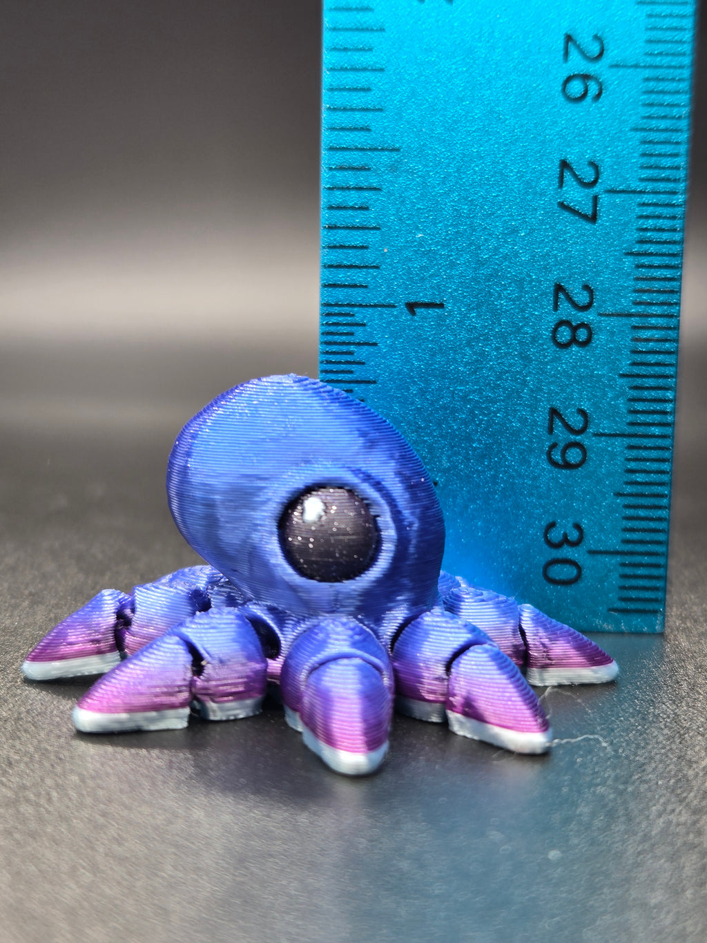 Octopus Hatchling