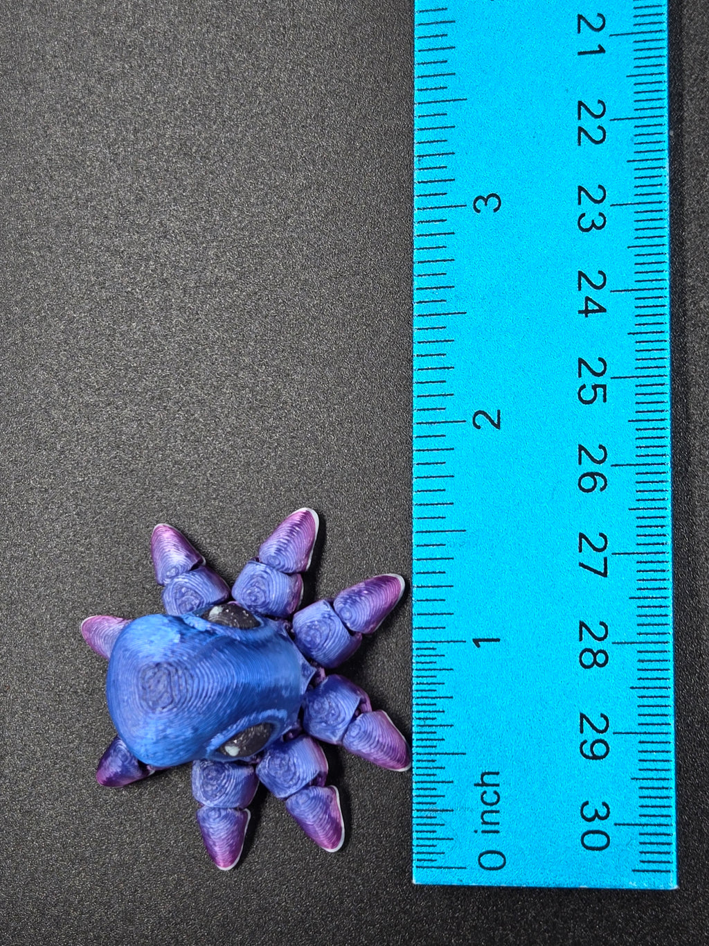 Octopus Hatchling