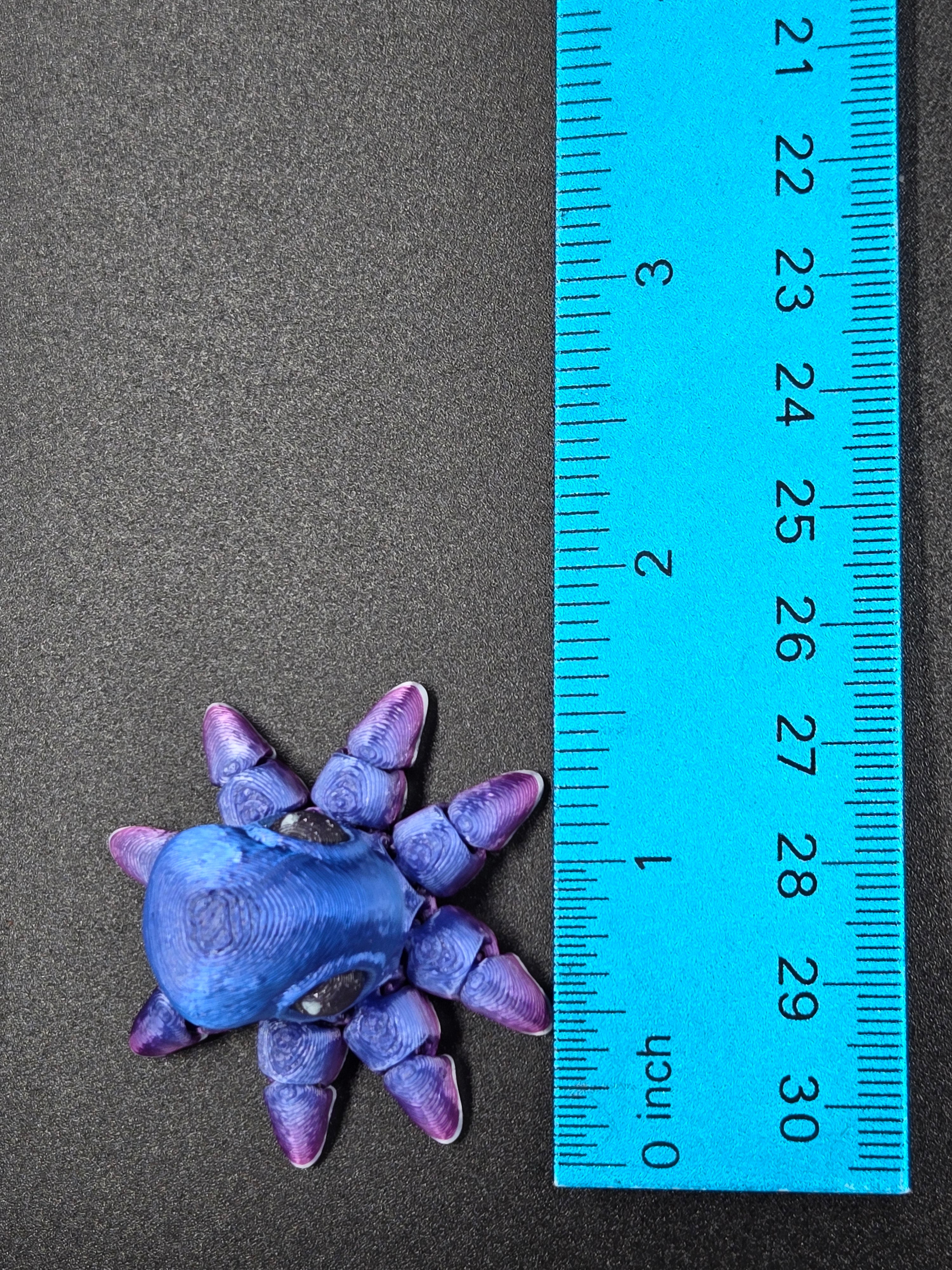 Octopus Hatchling