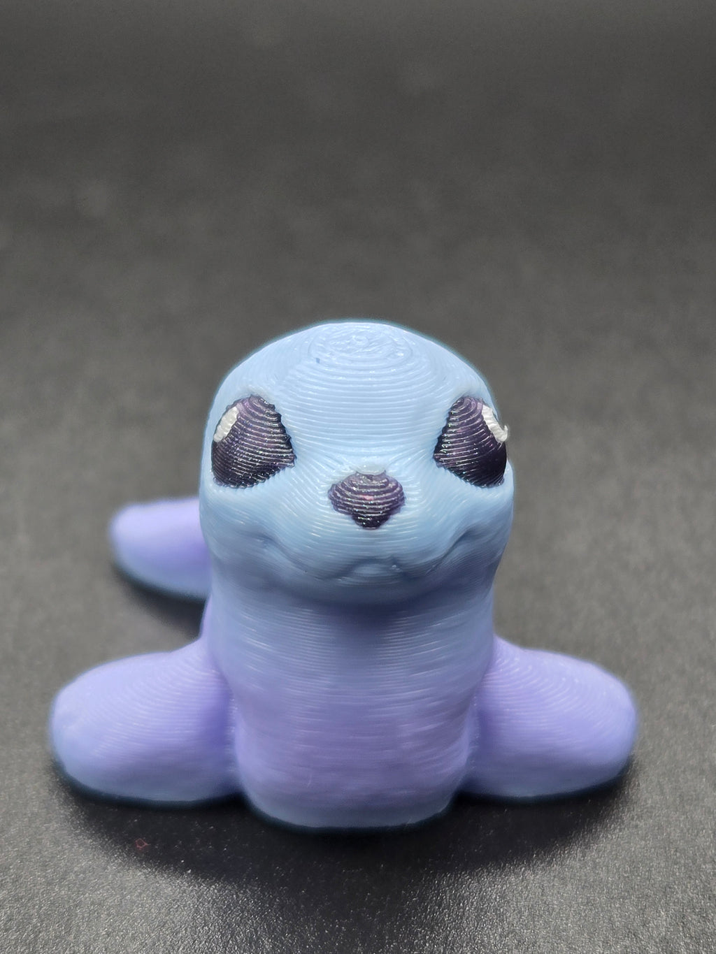 Seal Hatchling