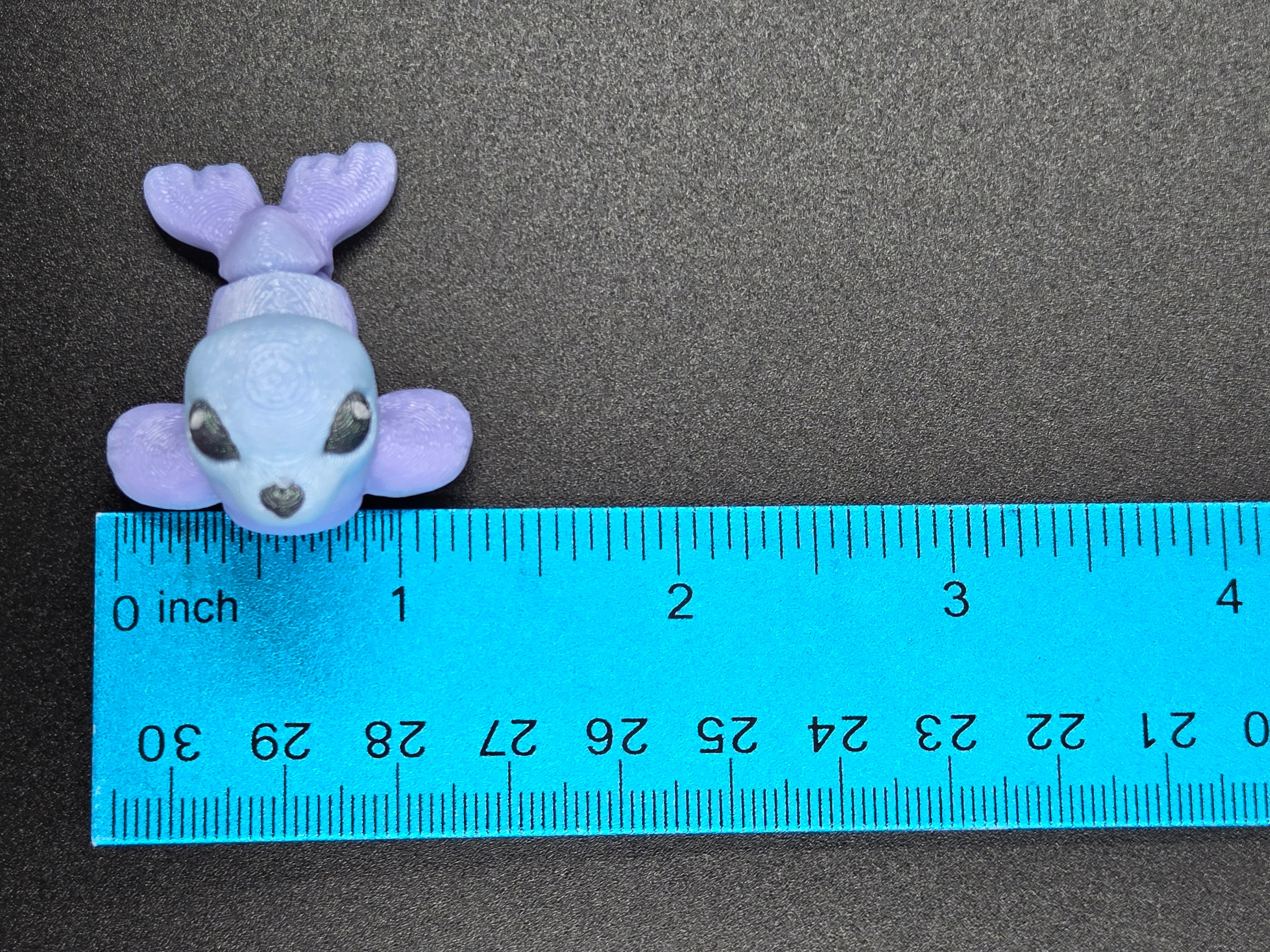 Seal Hatchling