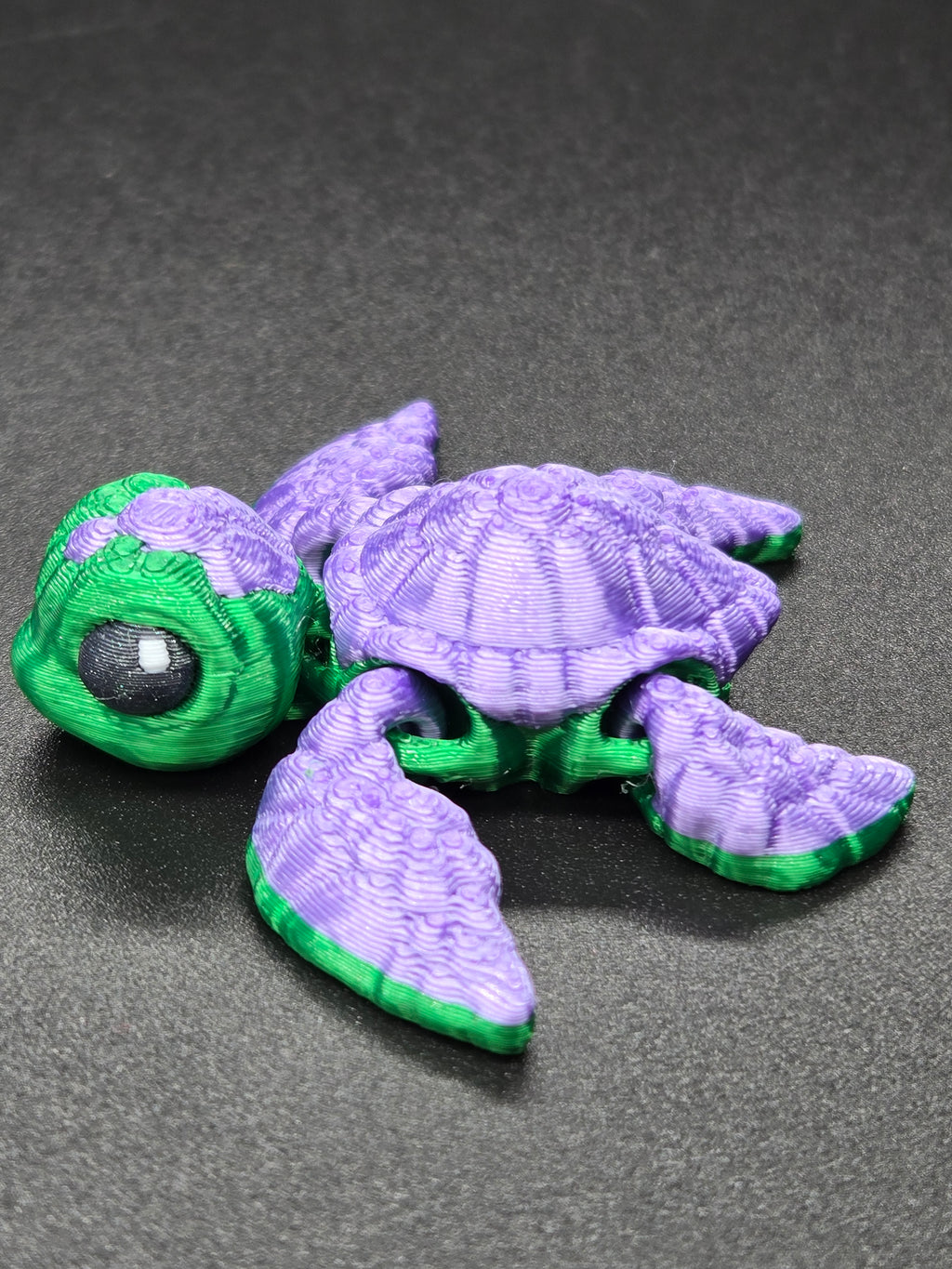 Sea Turtle Hatchling