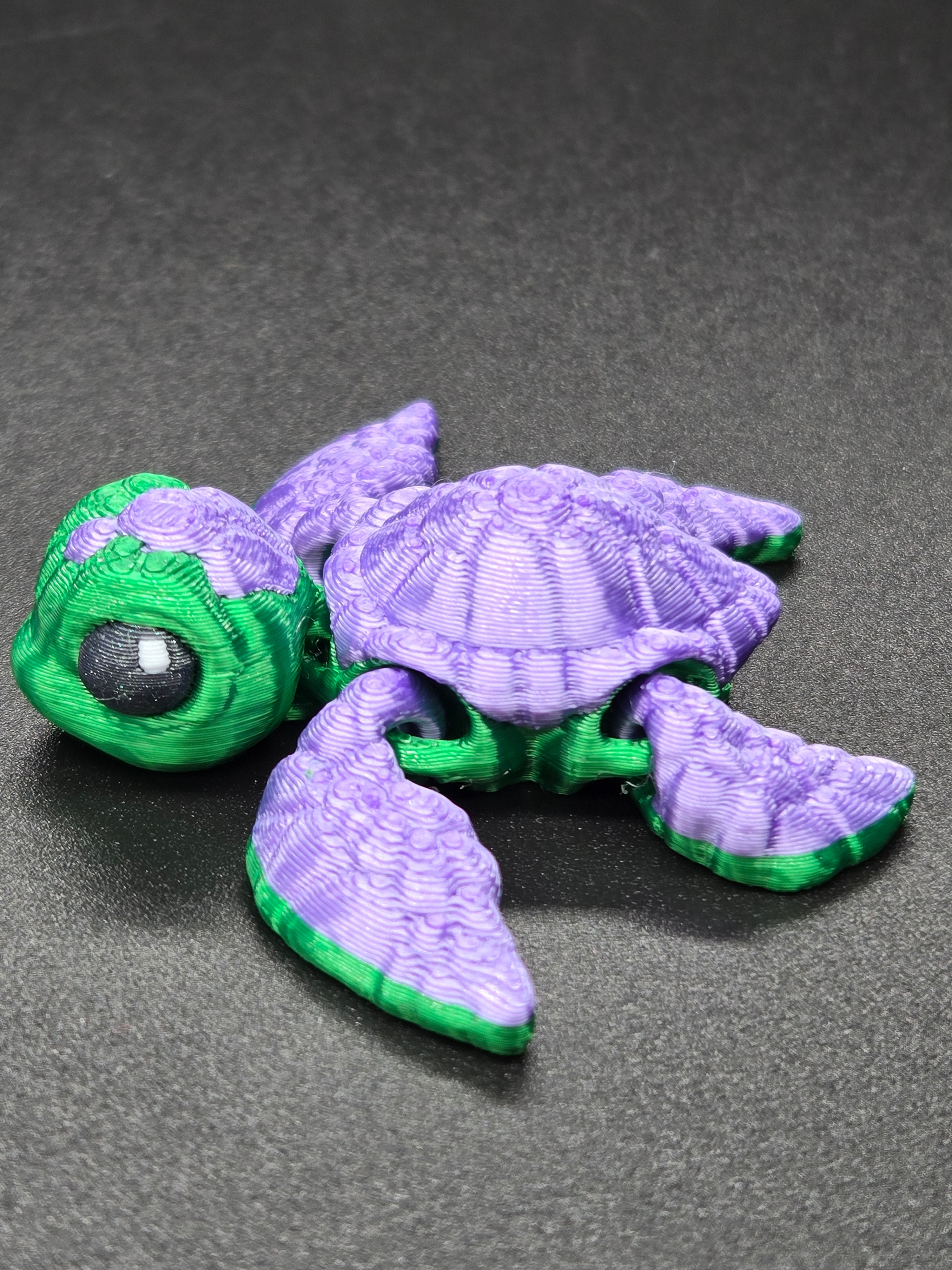 Sea Turtle Hatchling