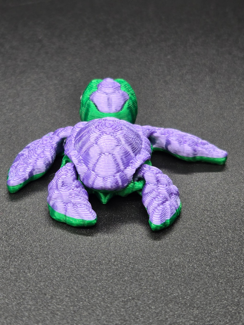 Sea Turtle Hatchling