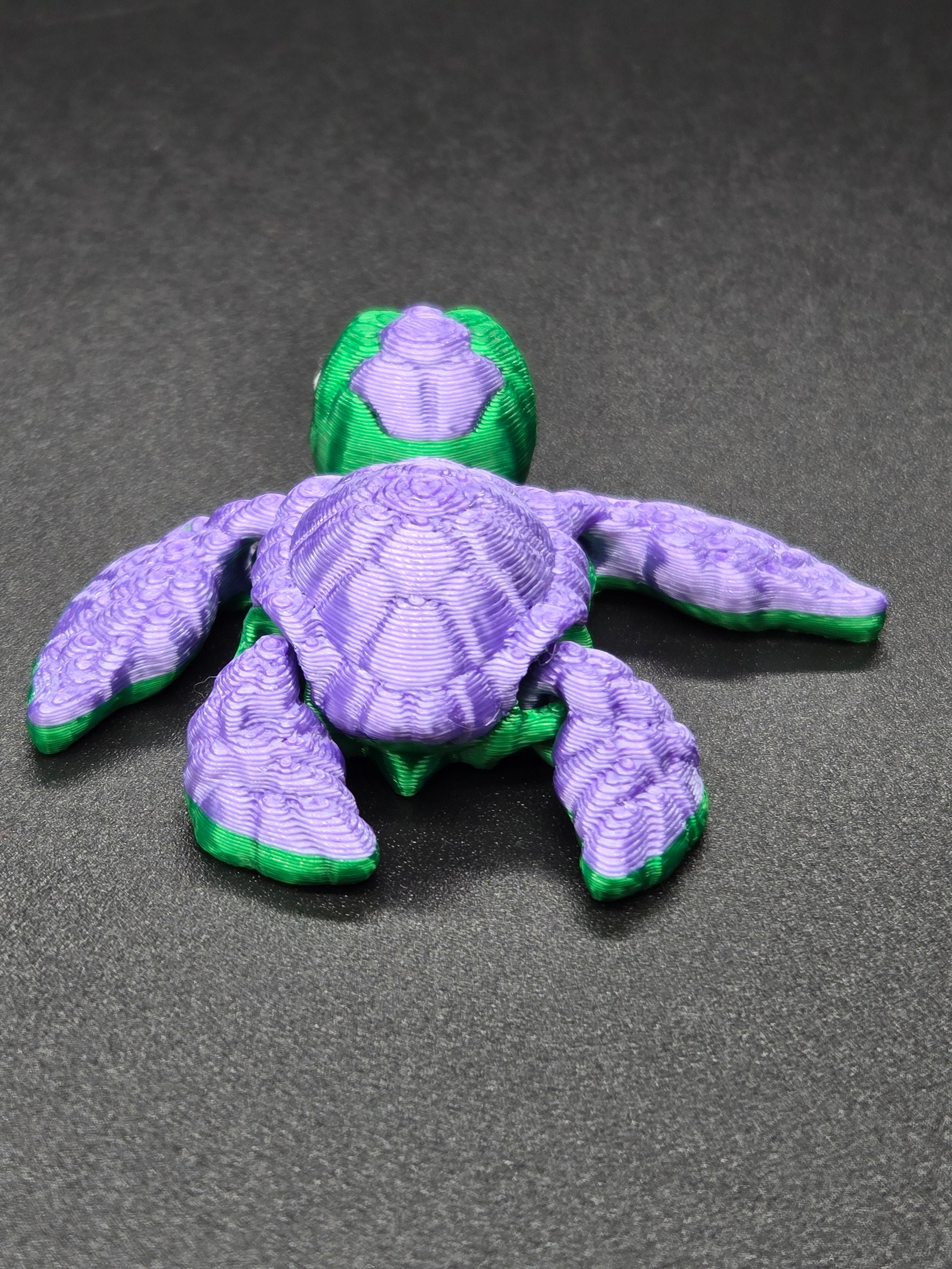 Sea Turtle Hatchling
