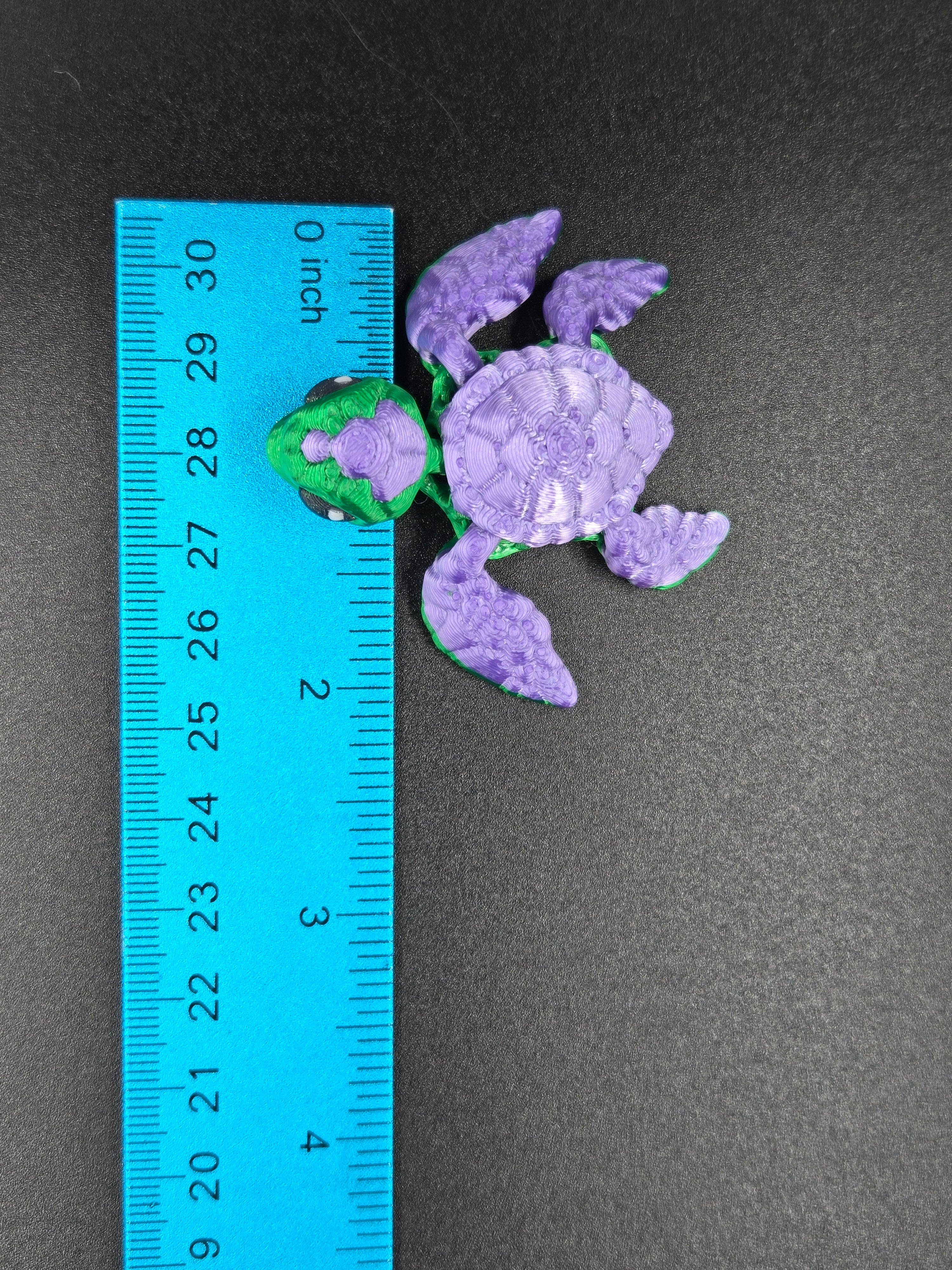 Sea Turtle Hatchling