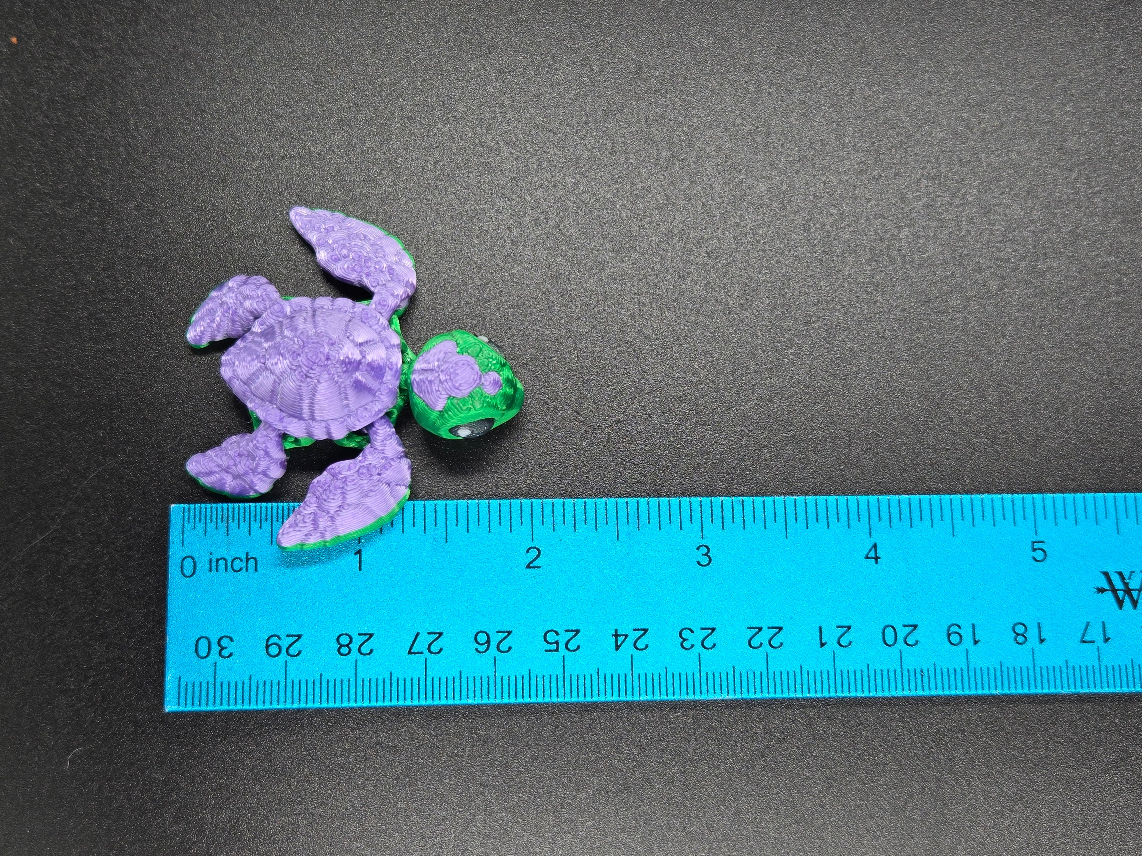 Sea Turtle Hatchling