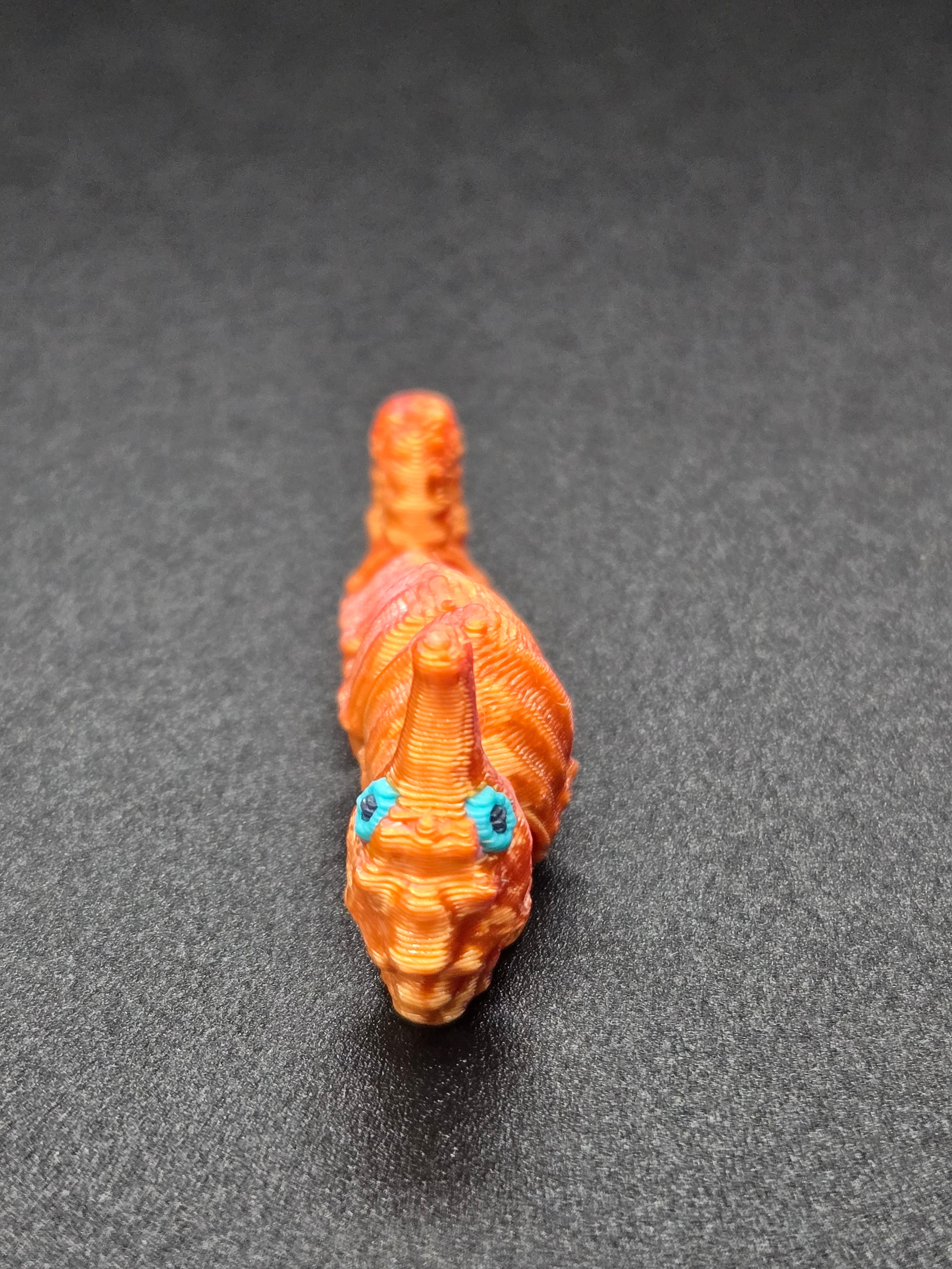 Sea Horse