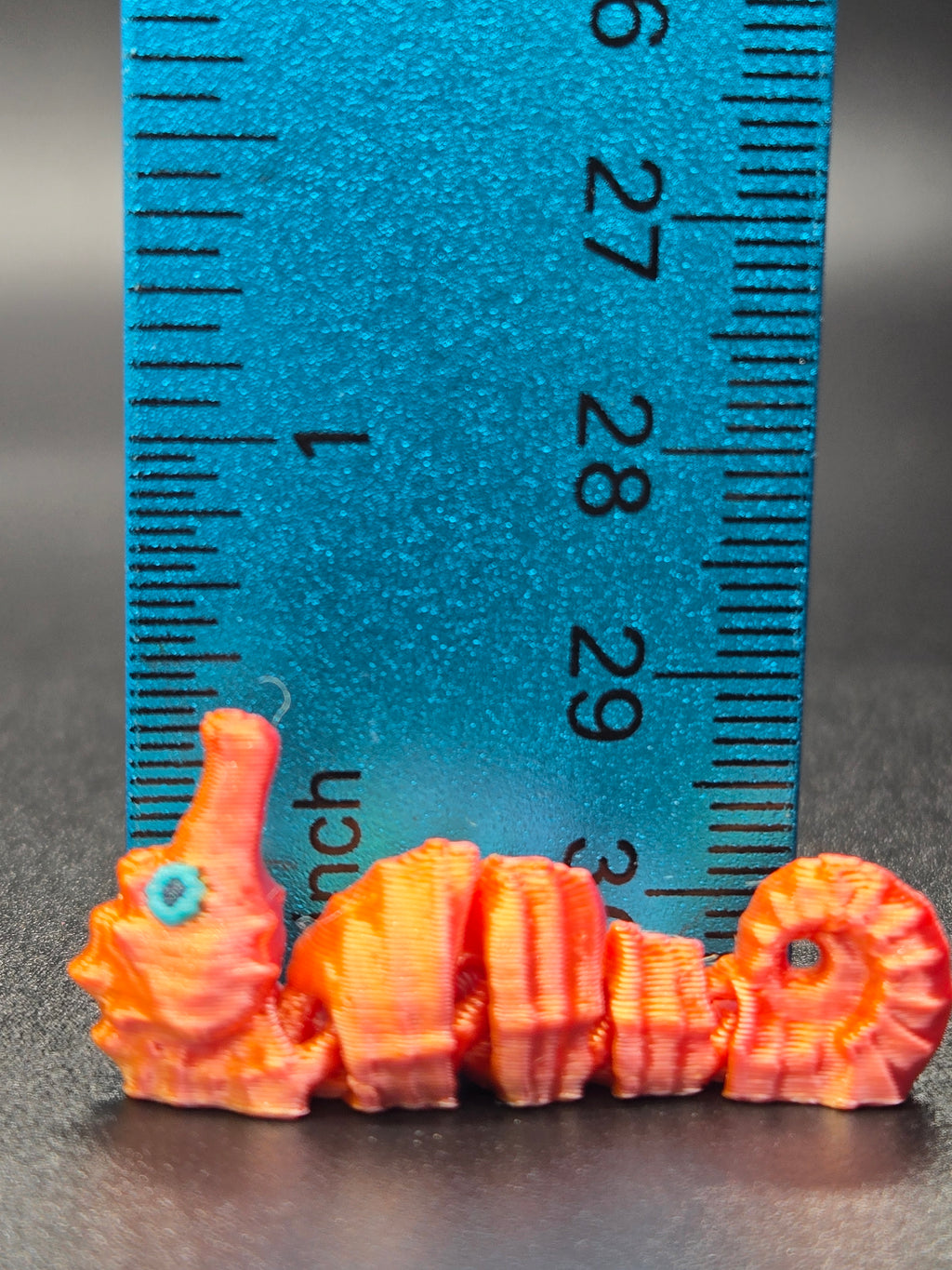 Sea Horse