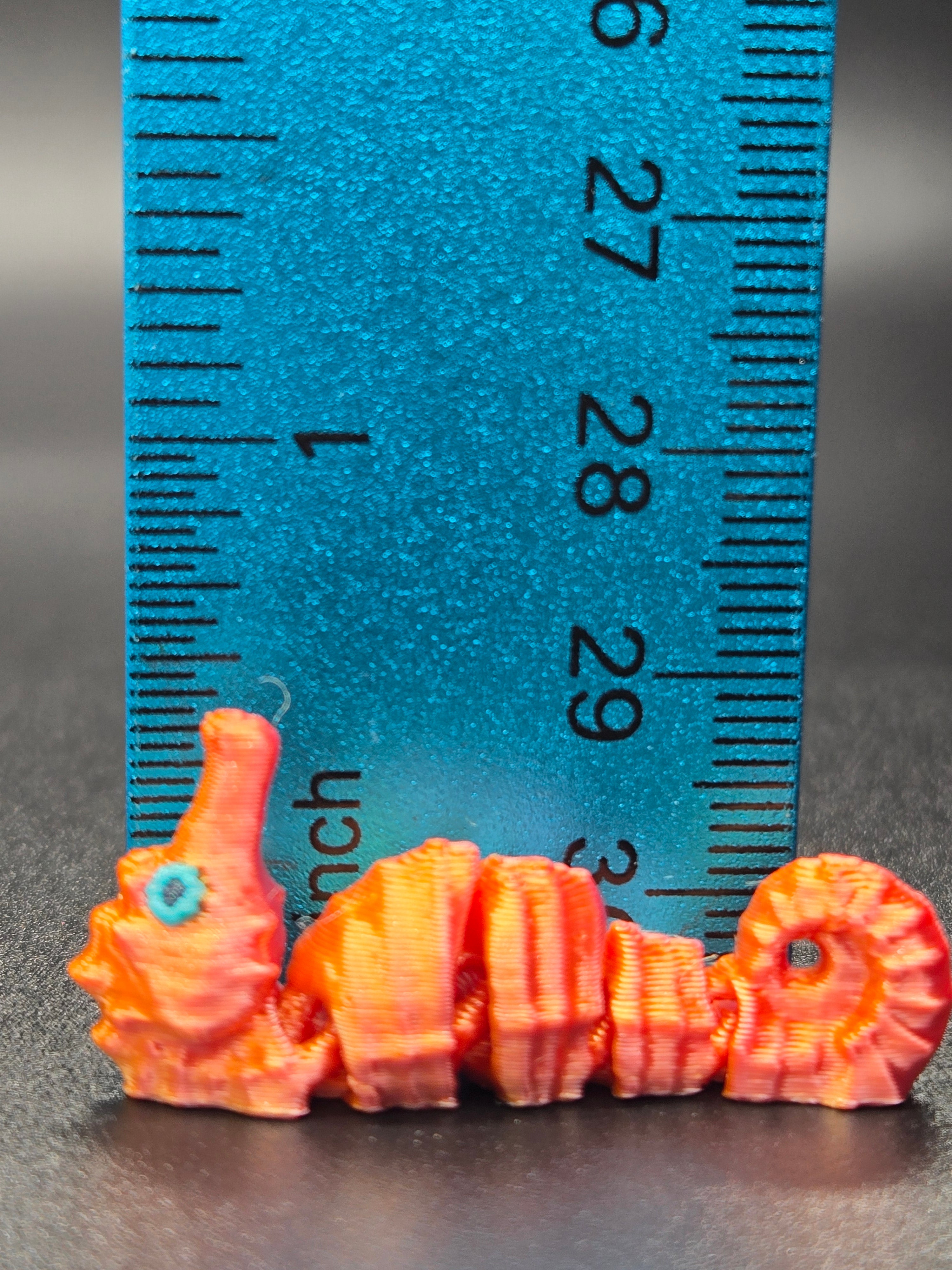 Sea Horse