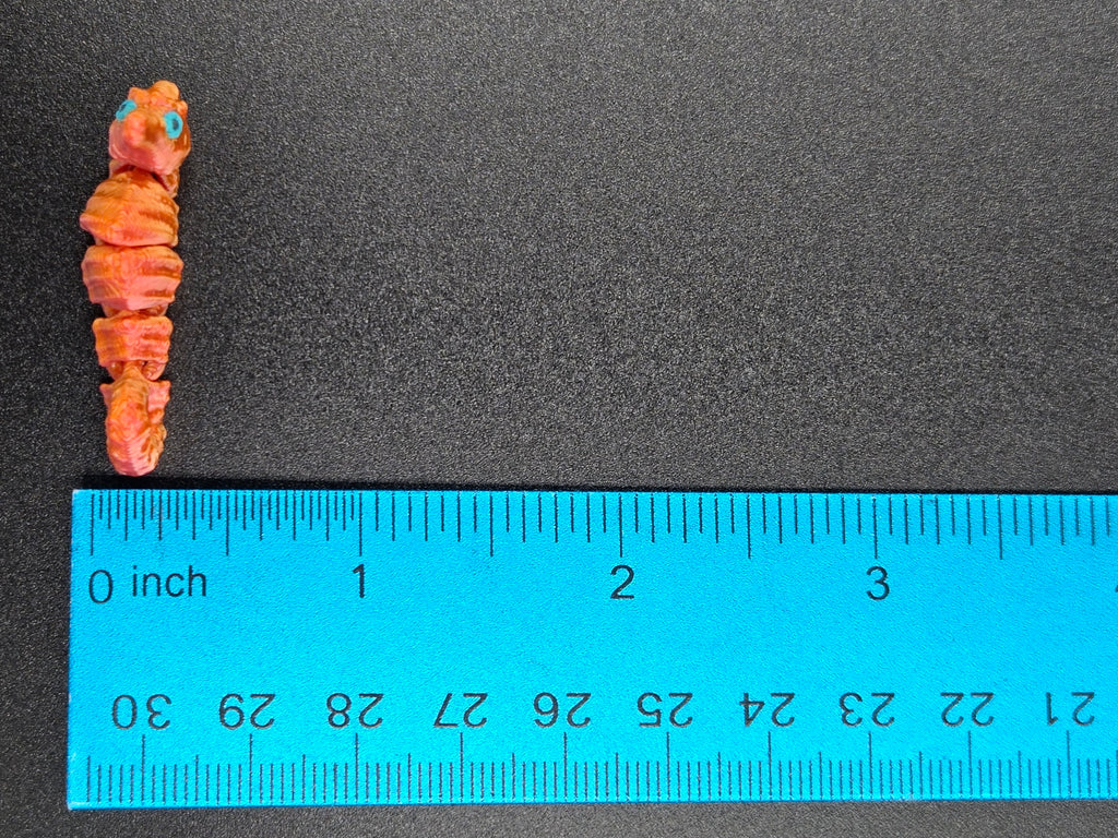 Sea Horse