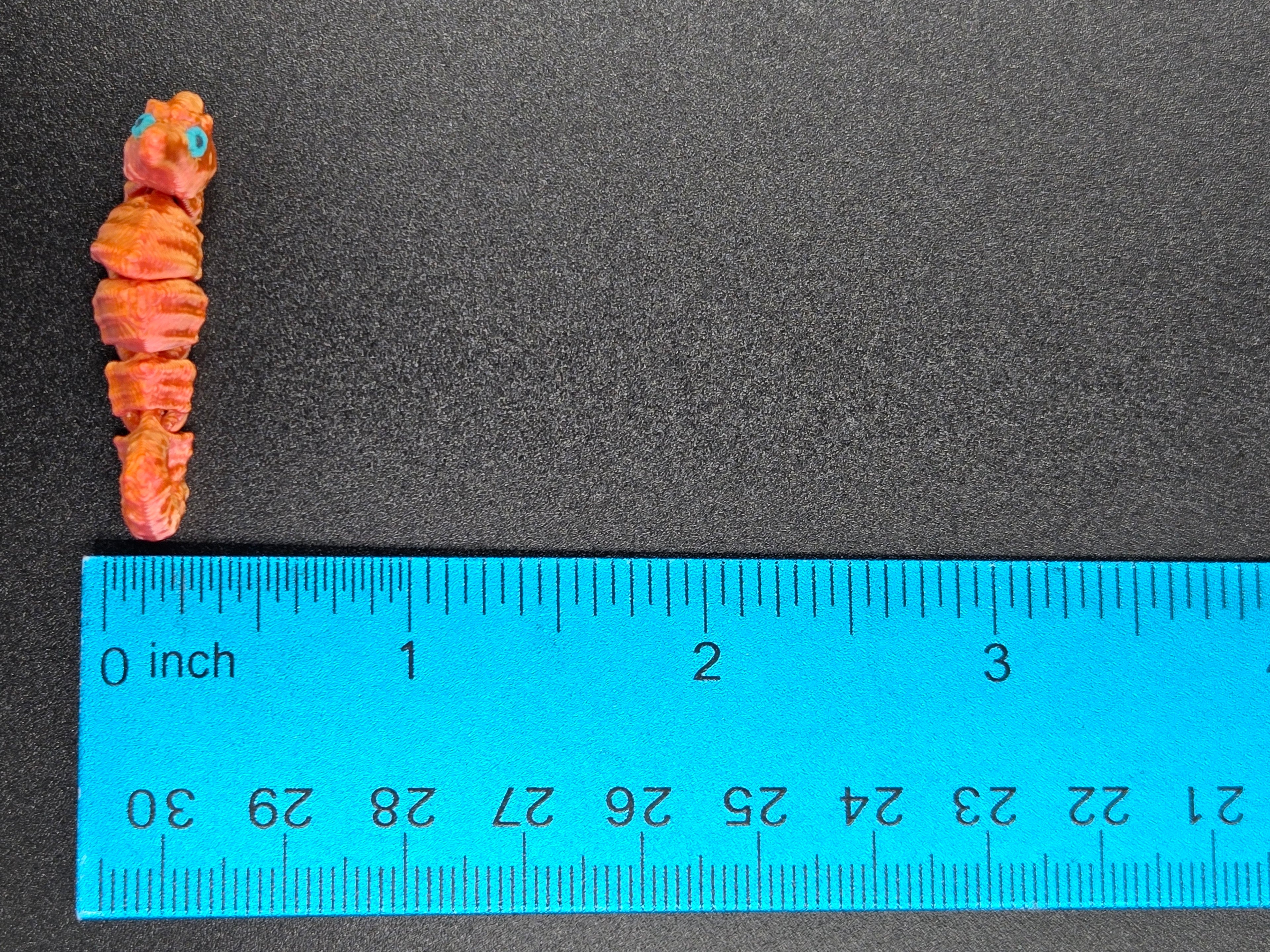 Sea Horse