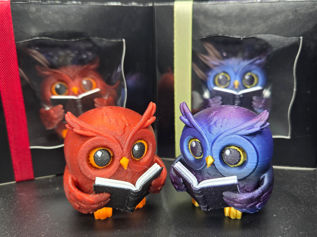 Reading Owl