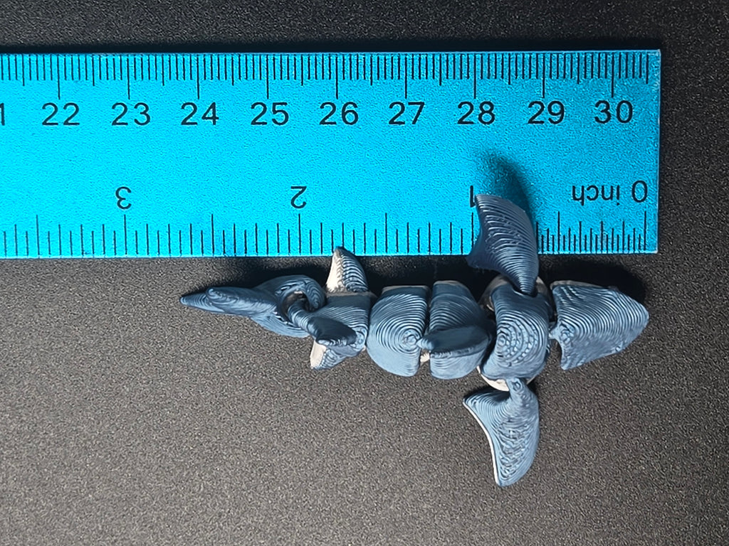 Shark
