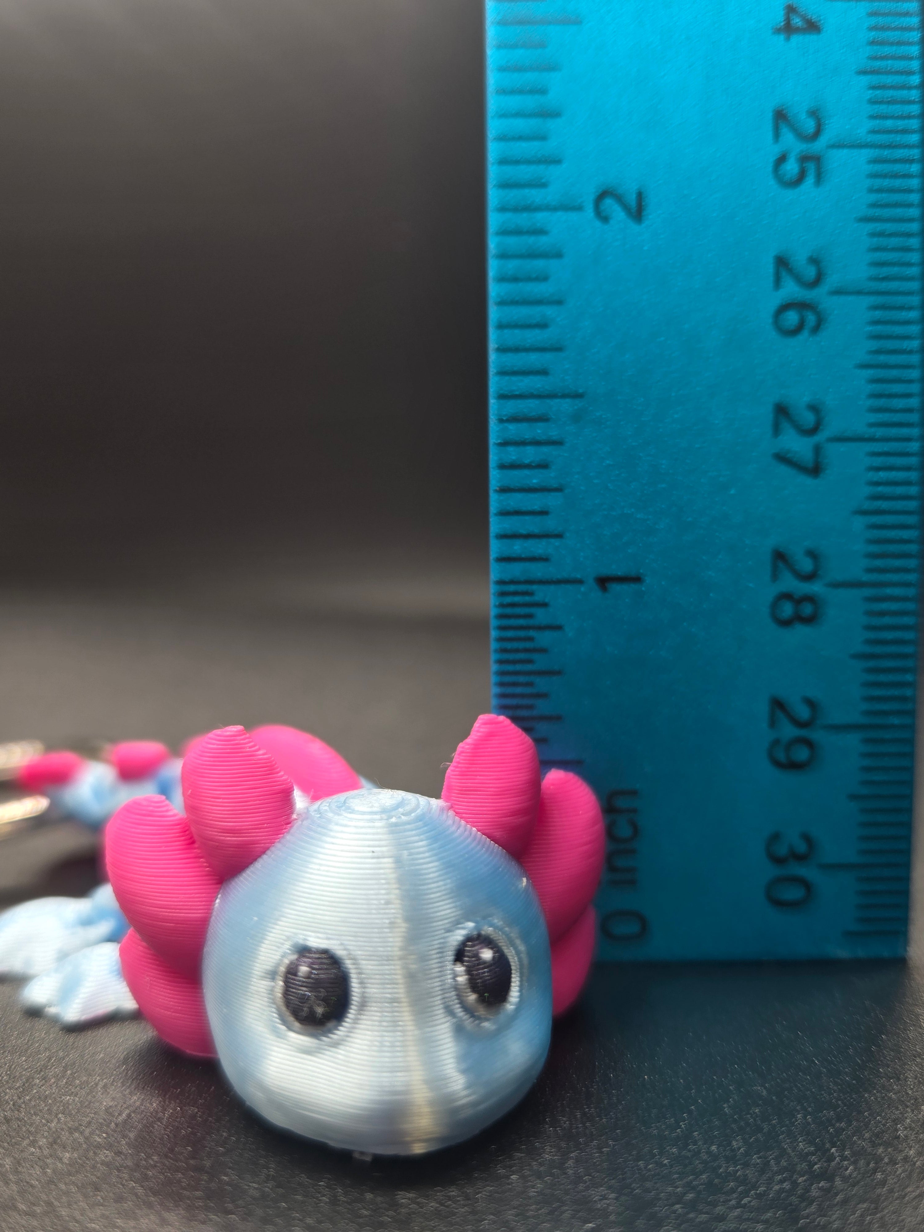 Axolotl