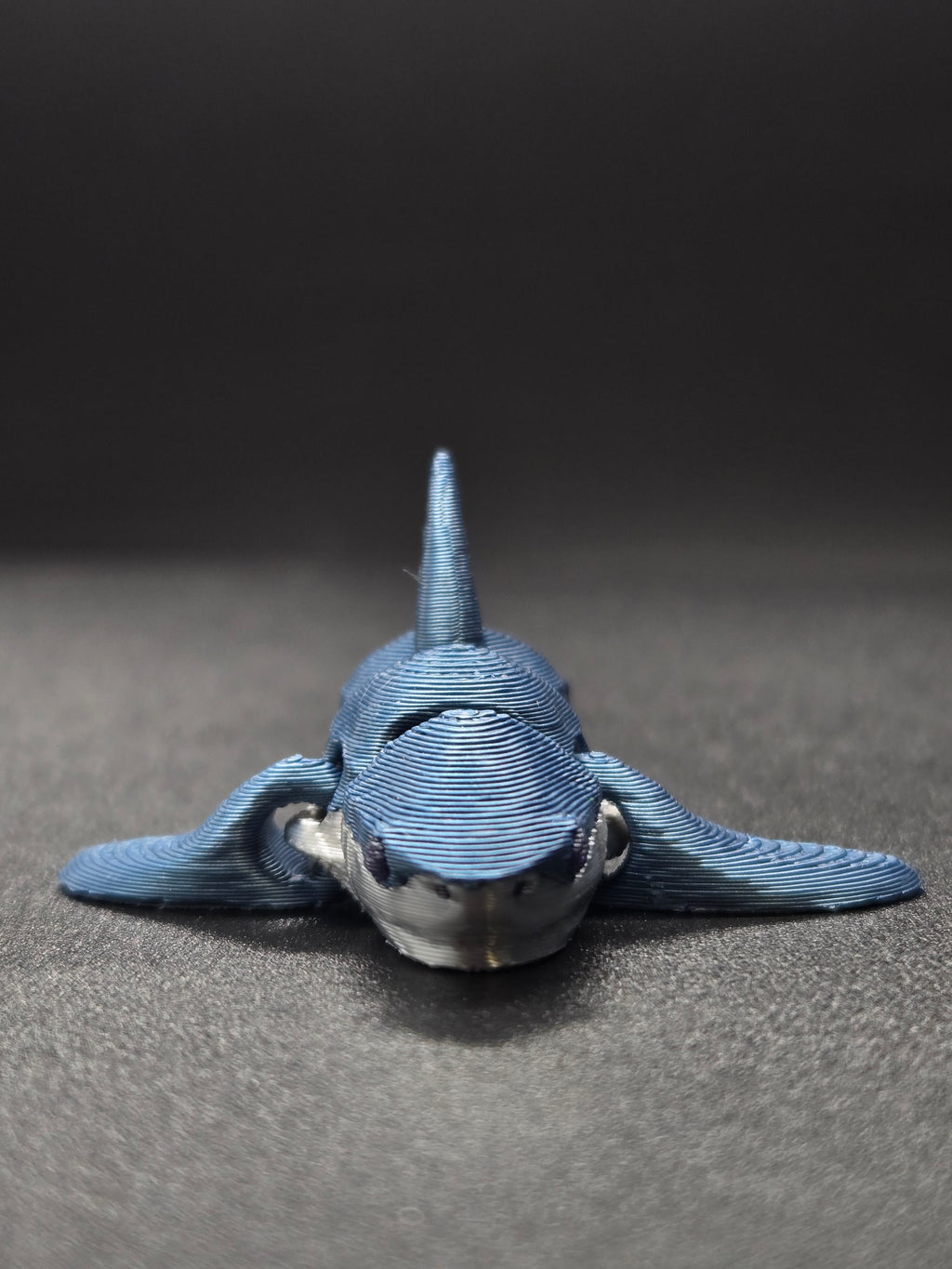 Shark