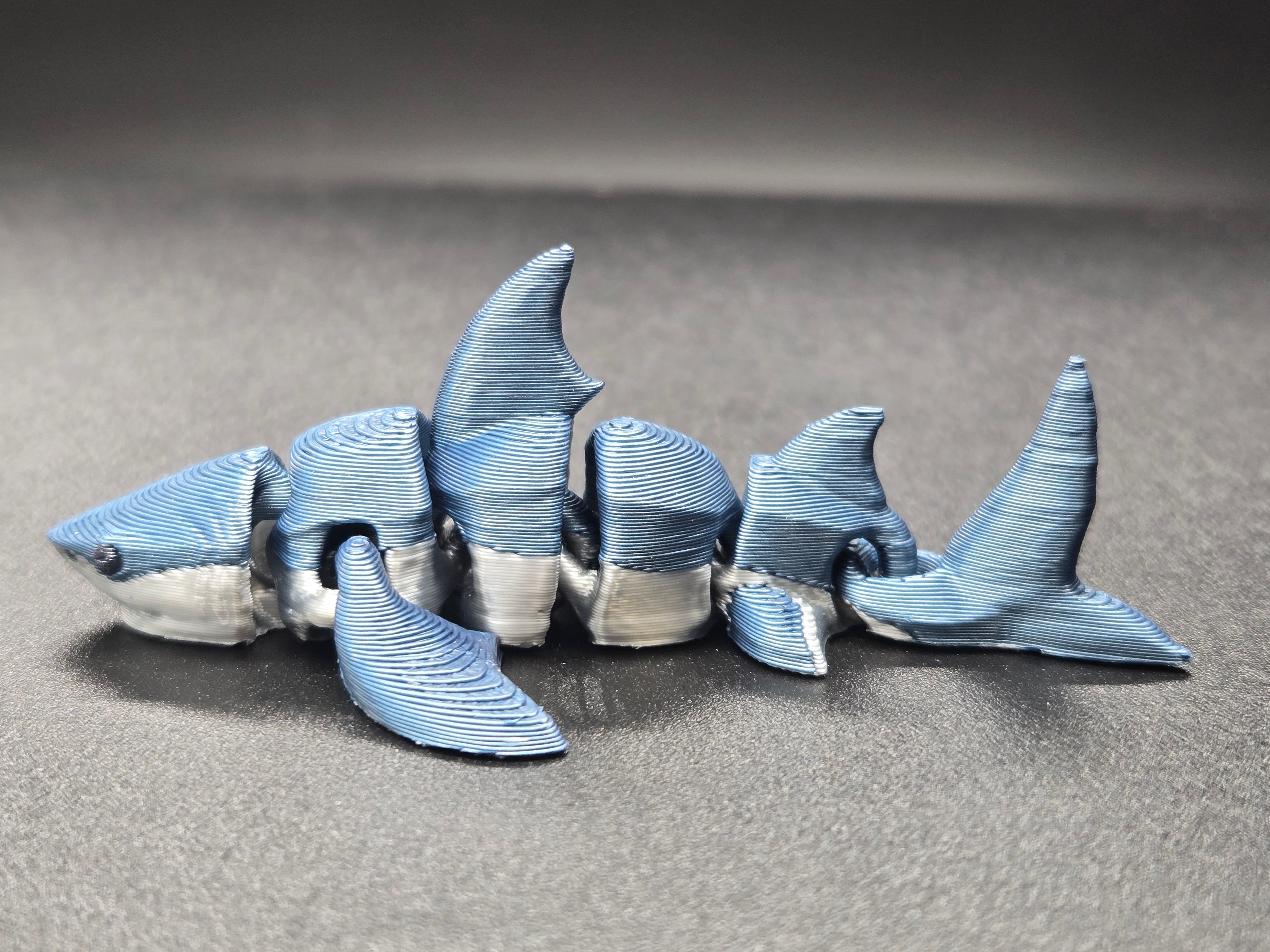 Shark