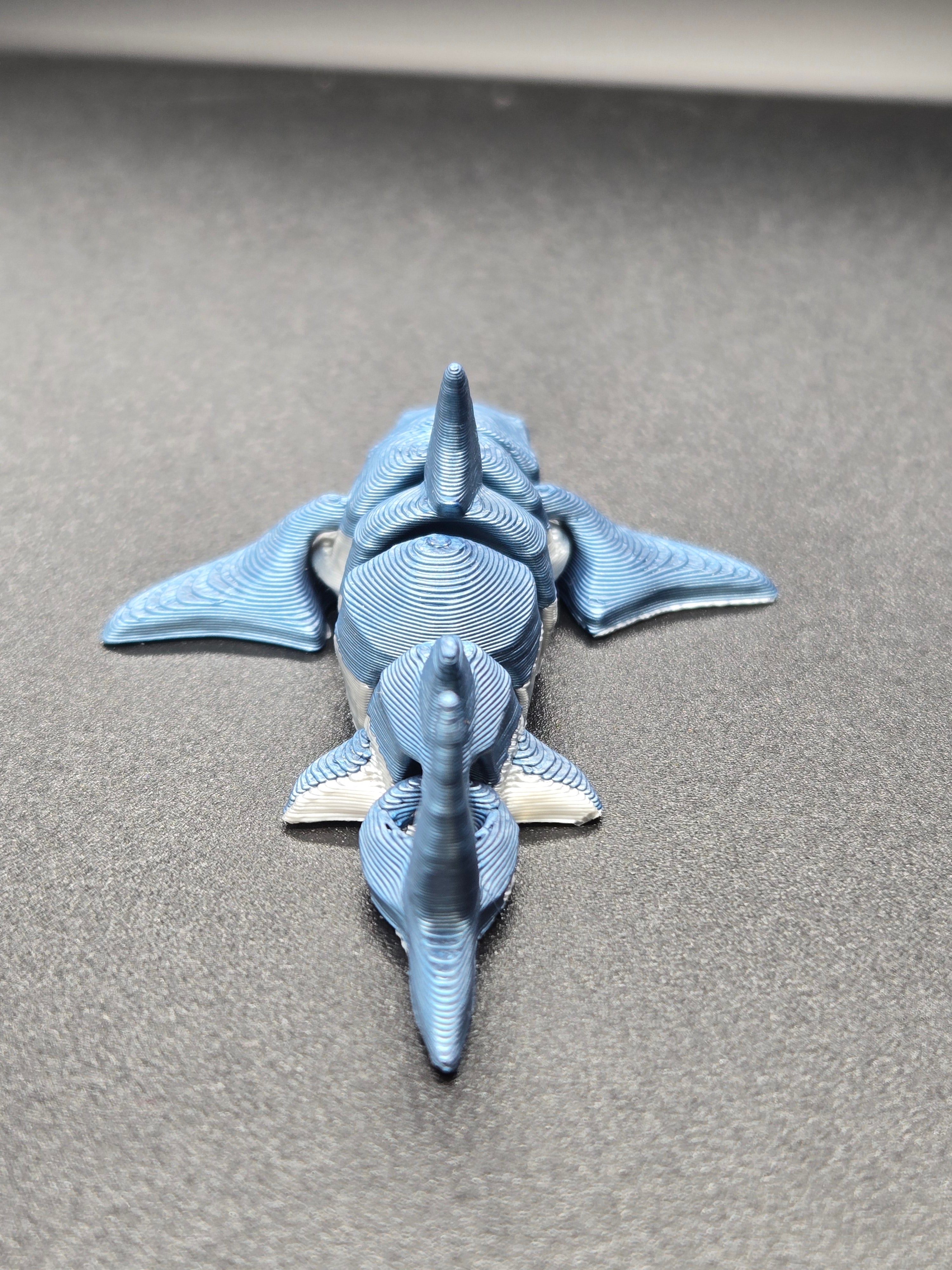 Shark