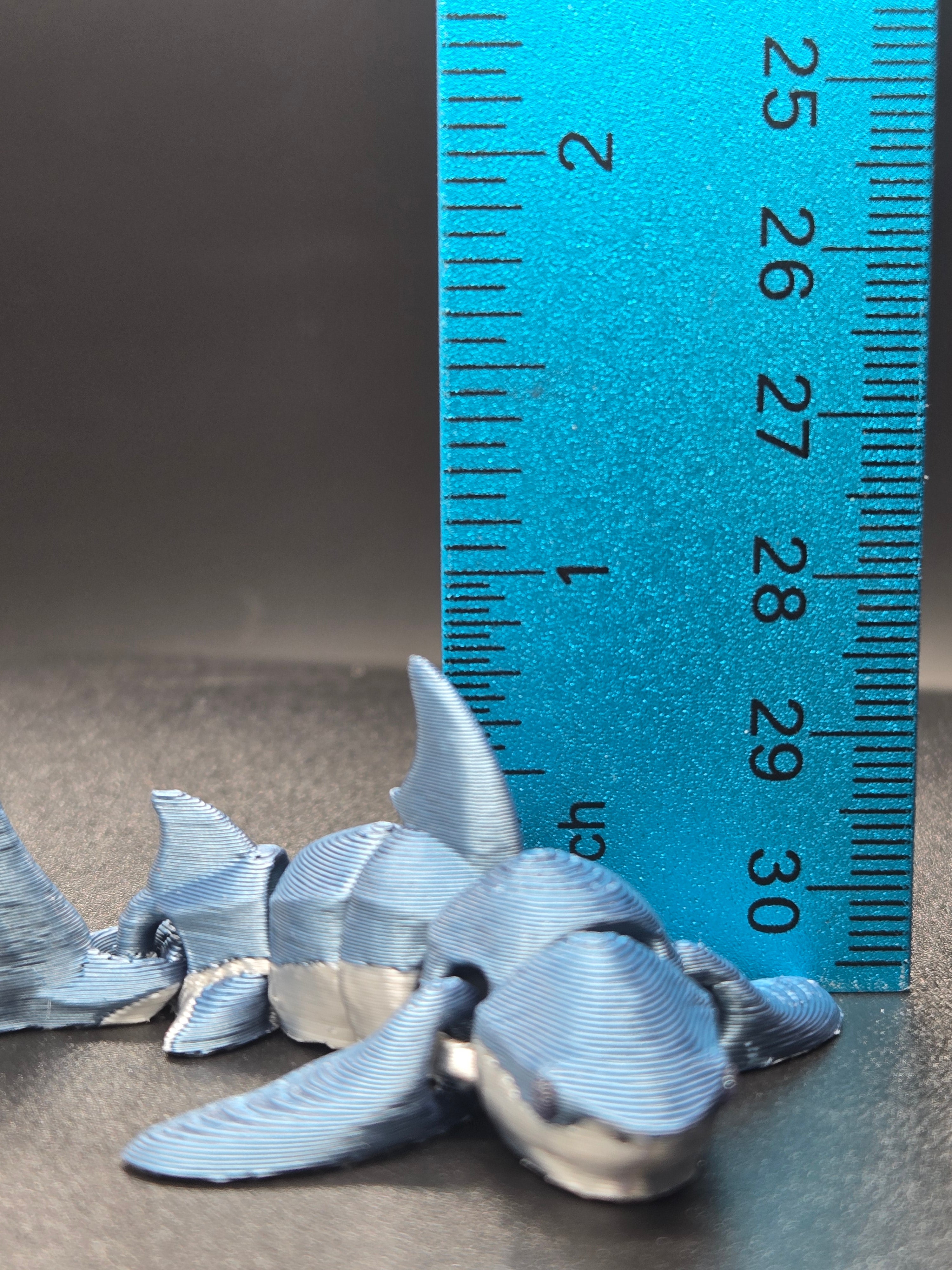 Shark