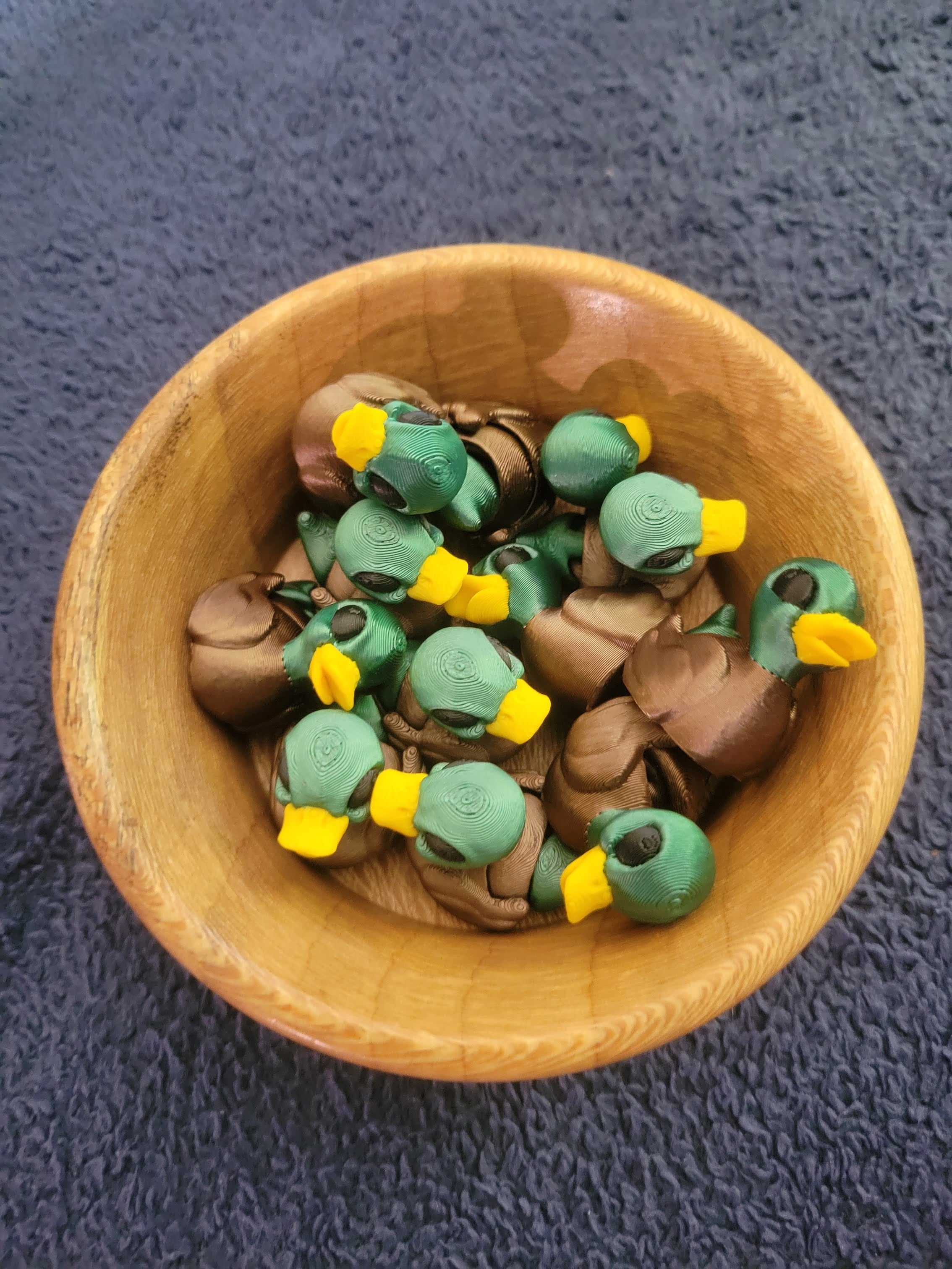 Duck Hatchling