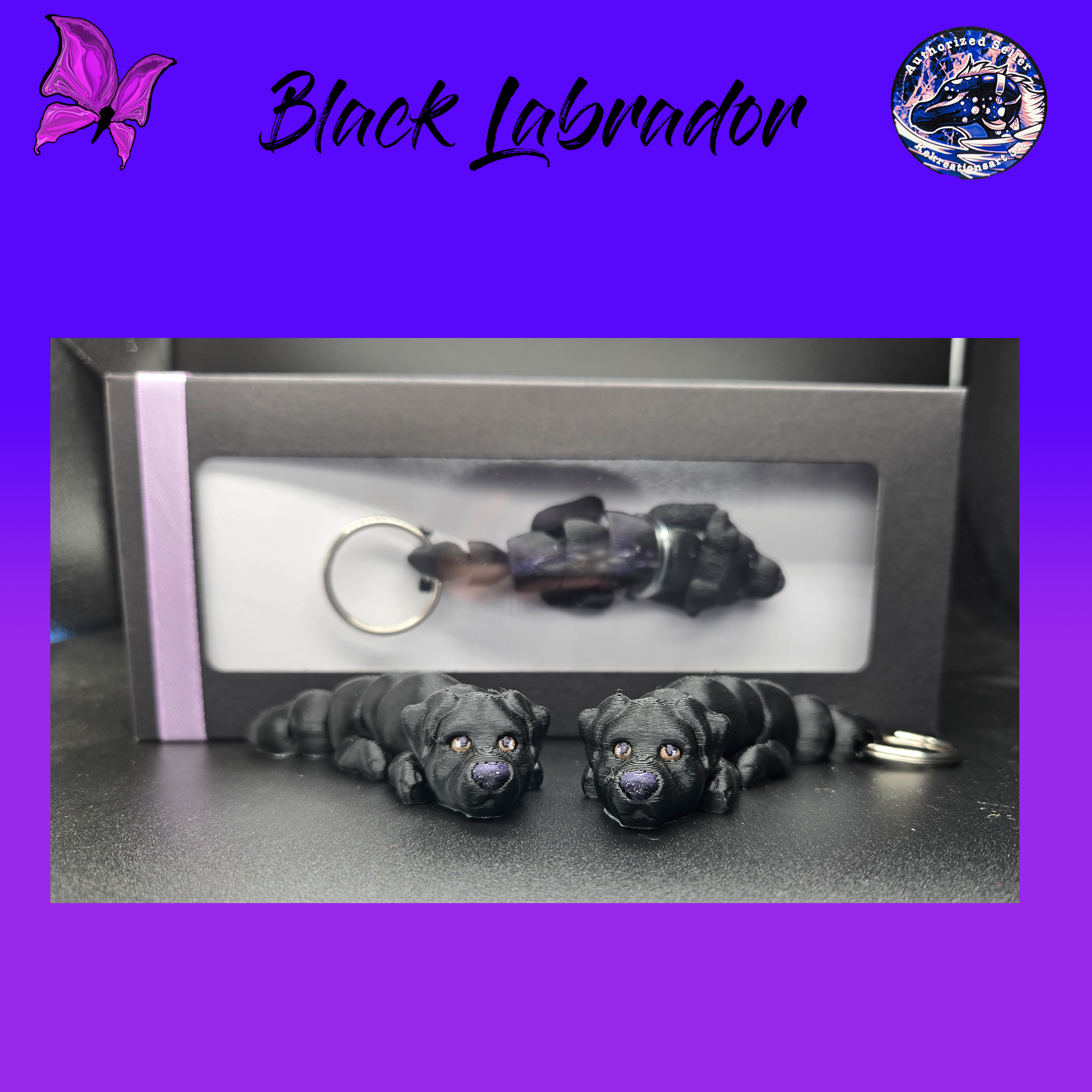 Black Labrador Retriever