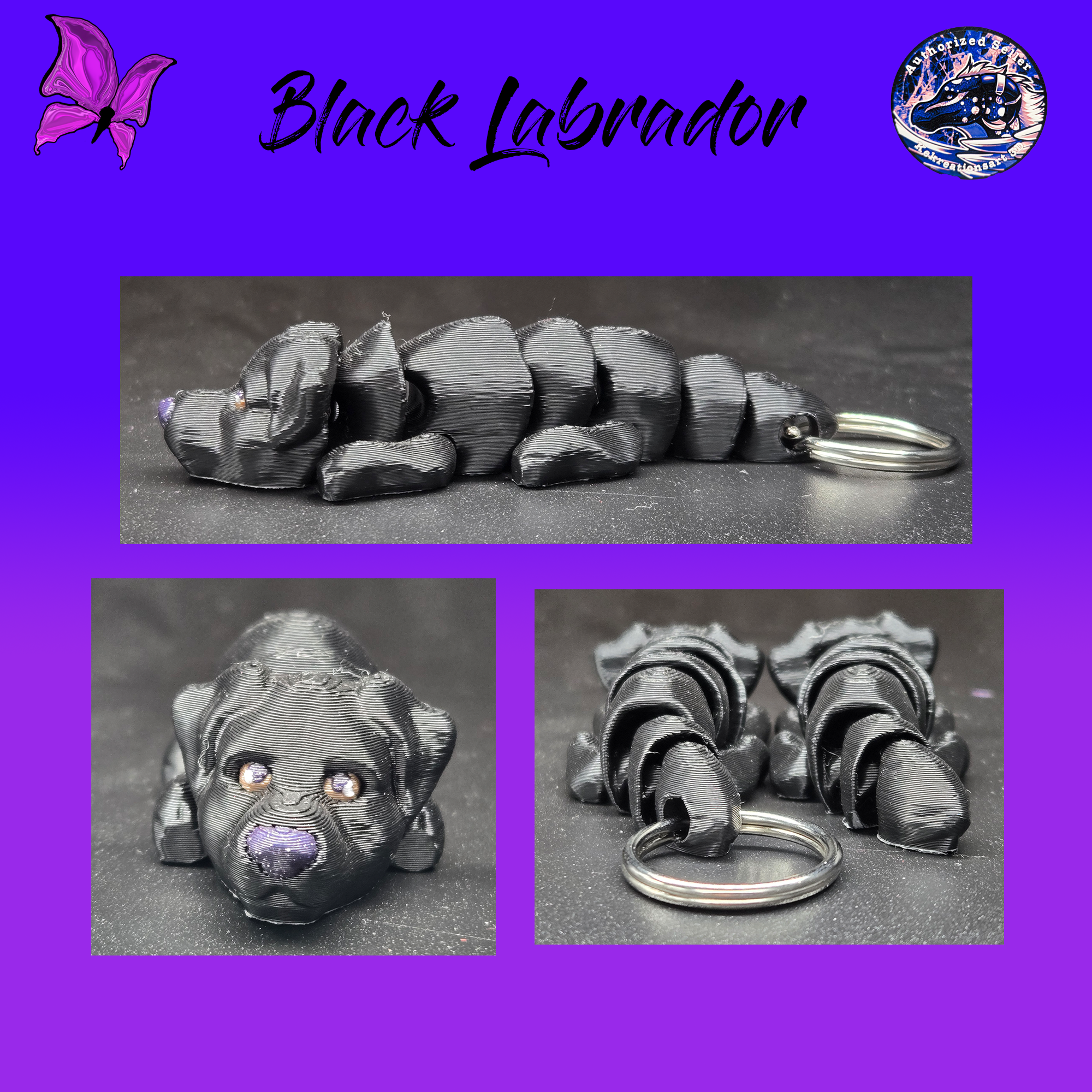 Black Labrador Retriever