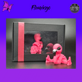 Flamingo Hatchling