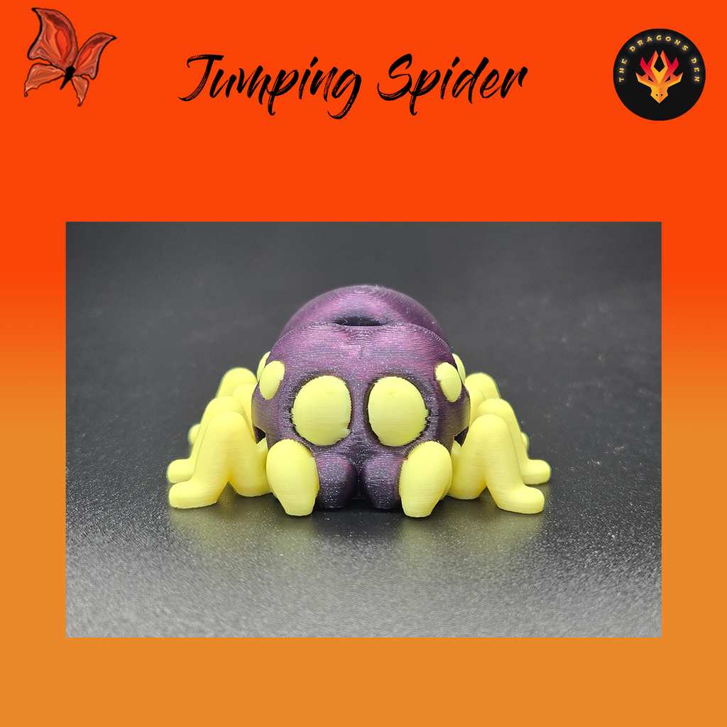 Jumping Spider