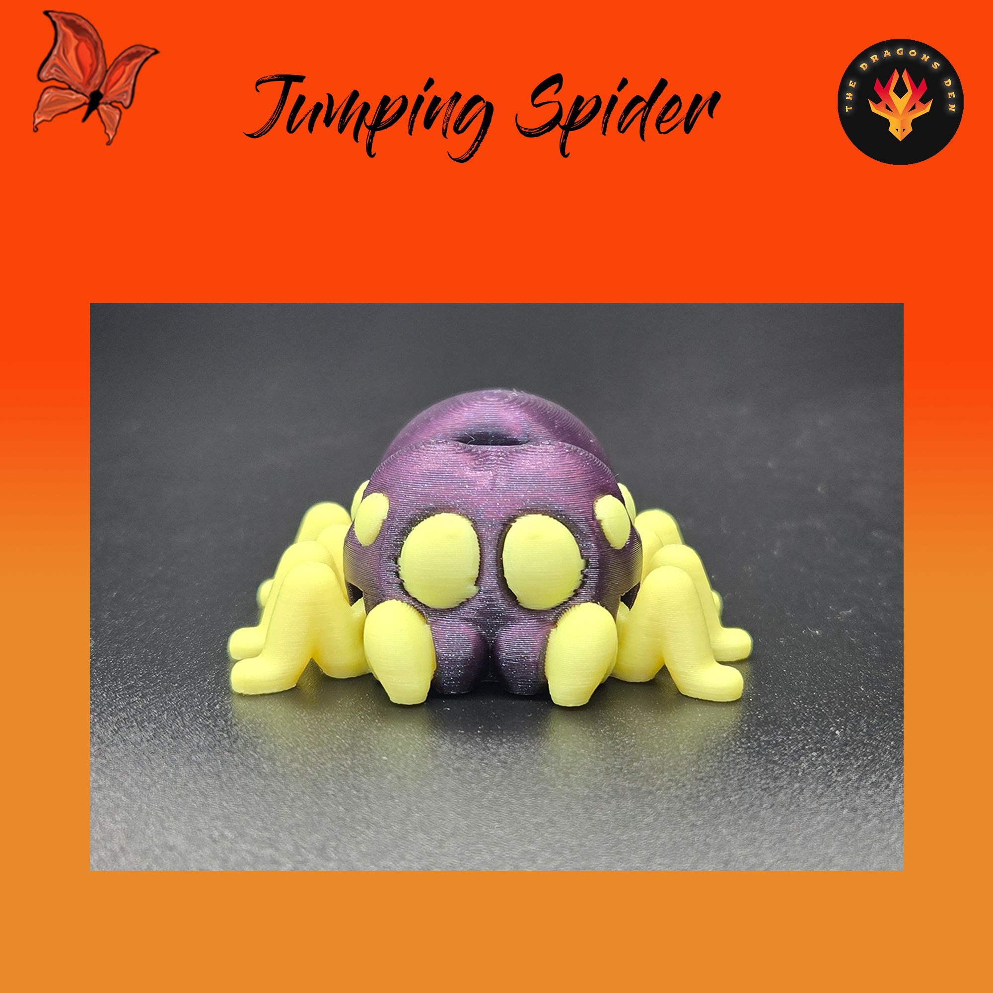 Jumping Spider
