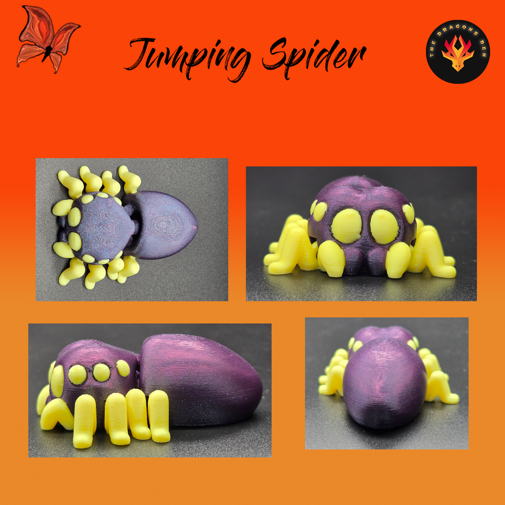 Jumping Spider