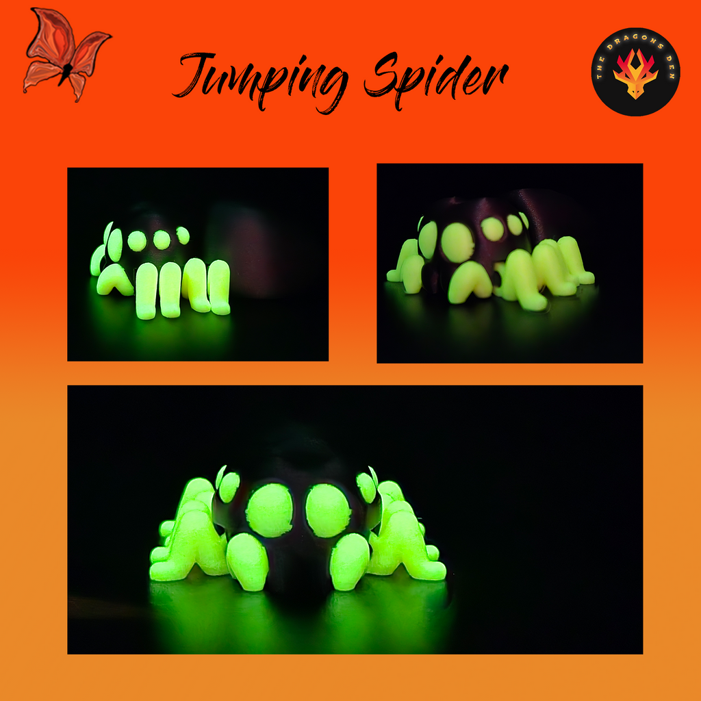 Jumping Spider