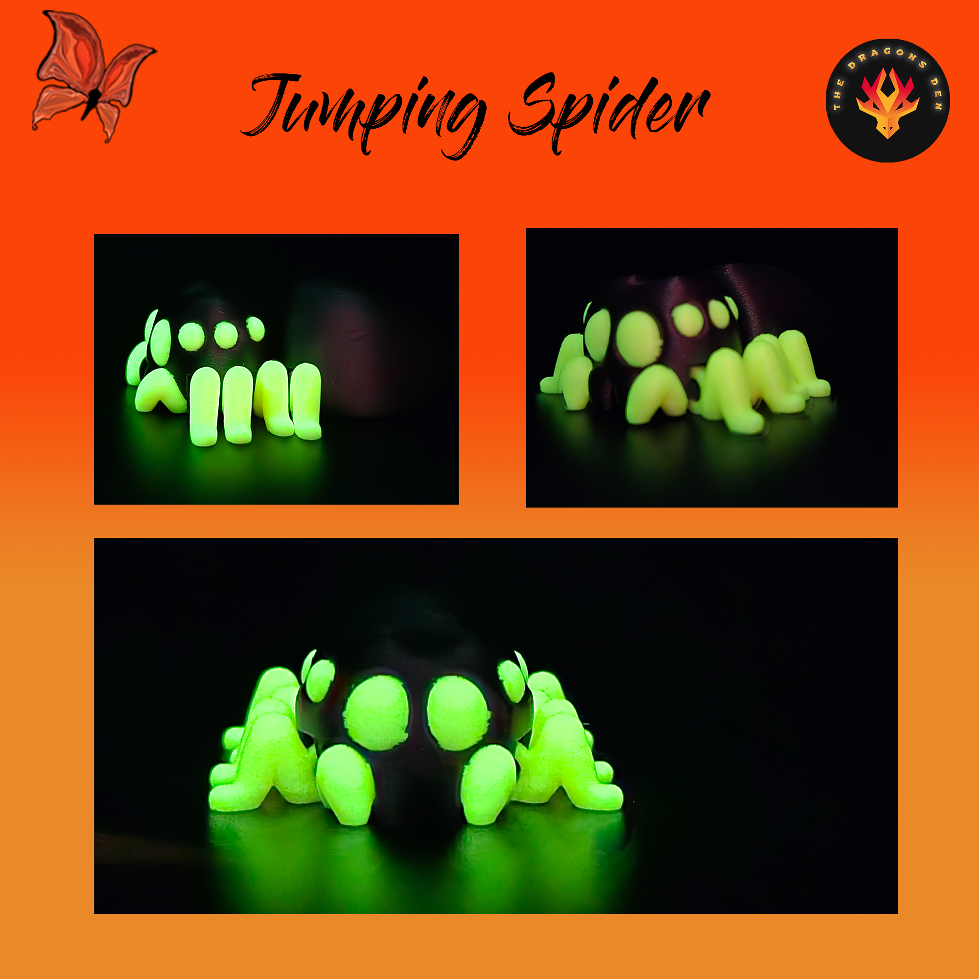 Jumping Spider