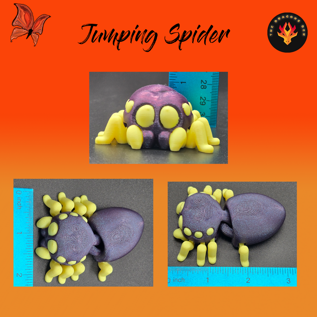 Jumping Spider