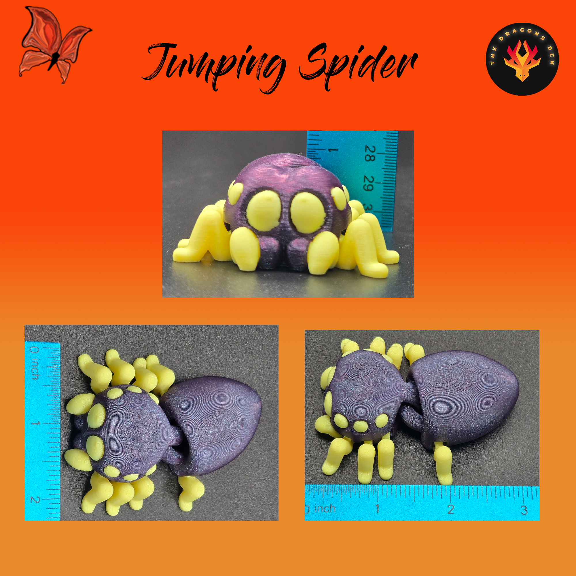 Jumping Spider