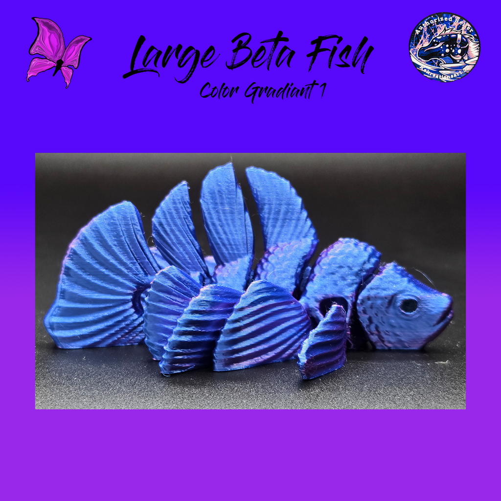 Large Betta Fish