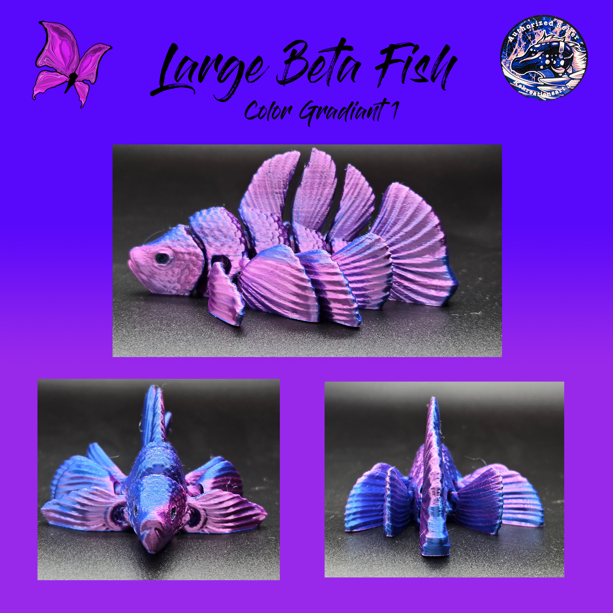 Large Betta Fish