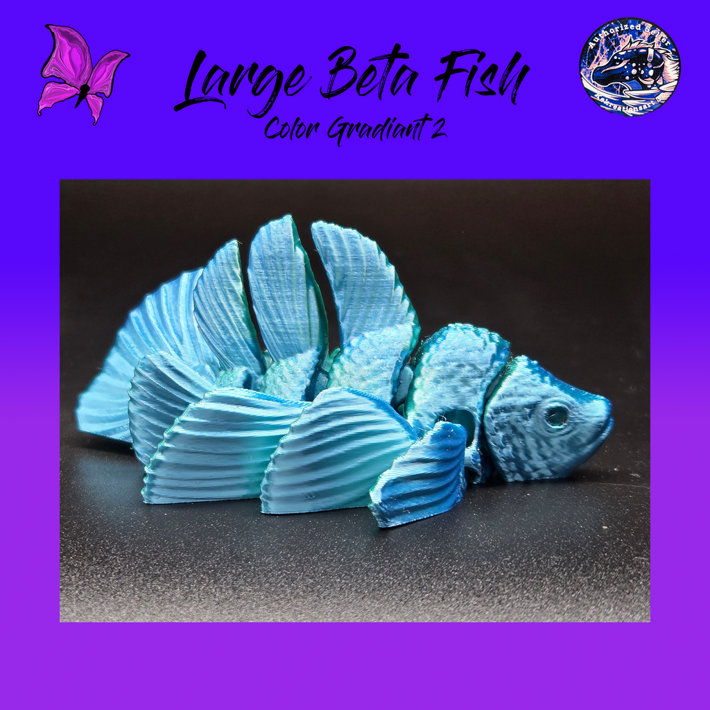 Large Betta Fish