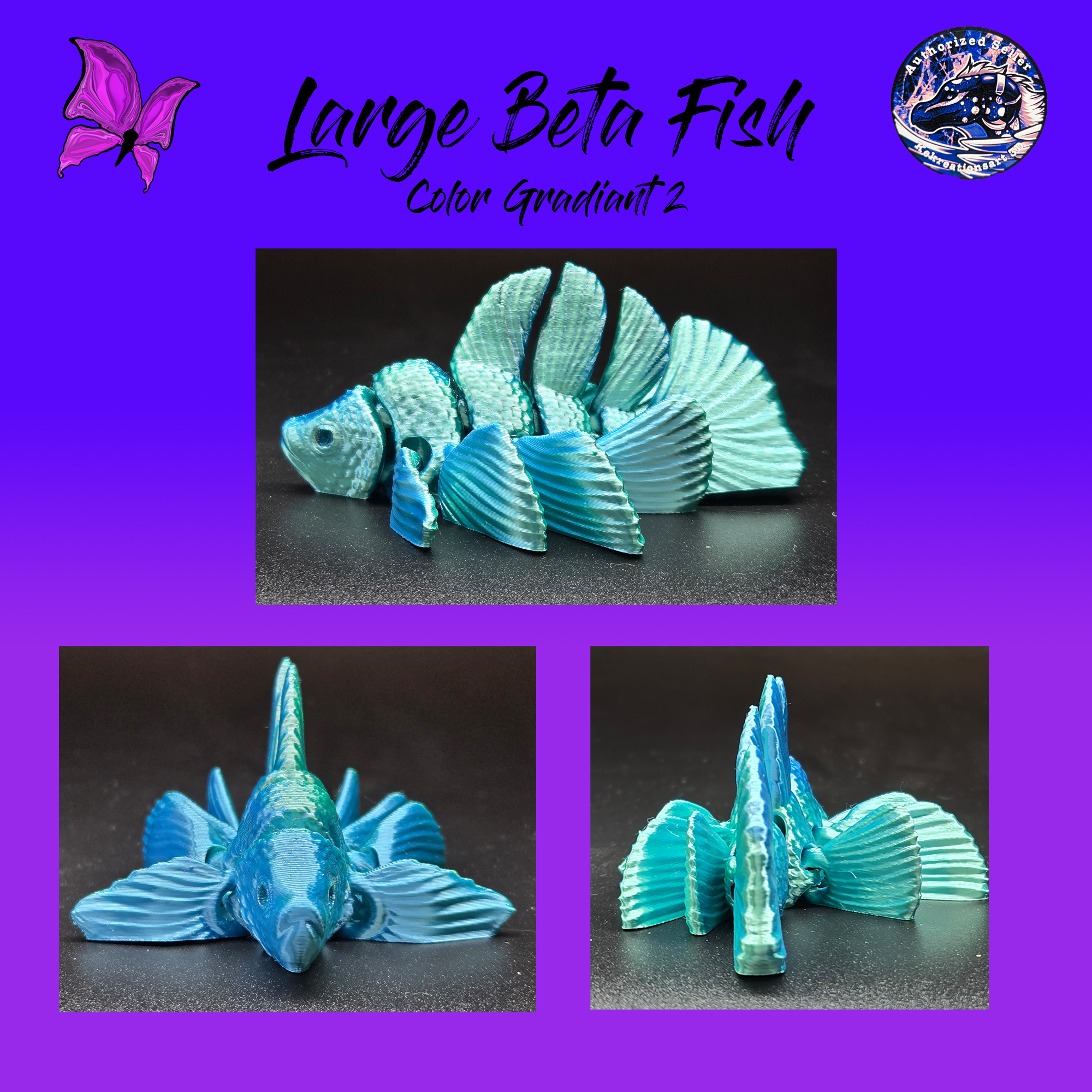 Large Betta Fish
