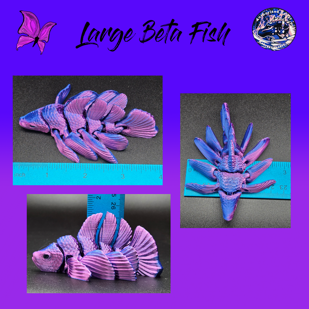 Large Betta Fish