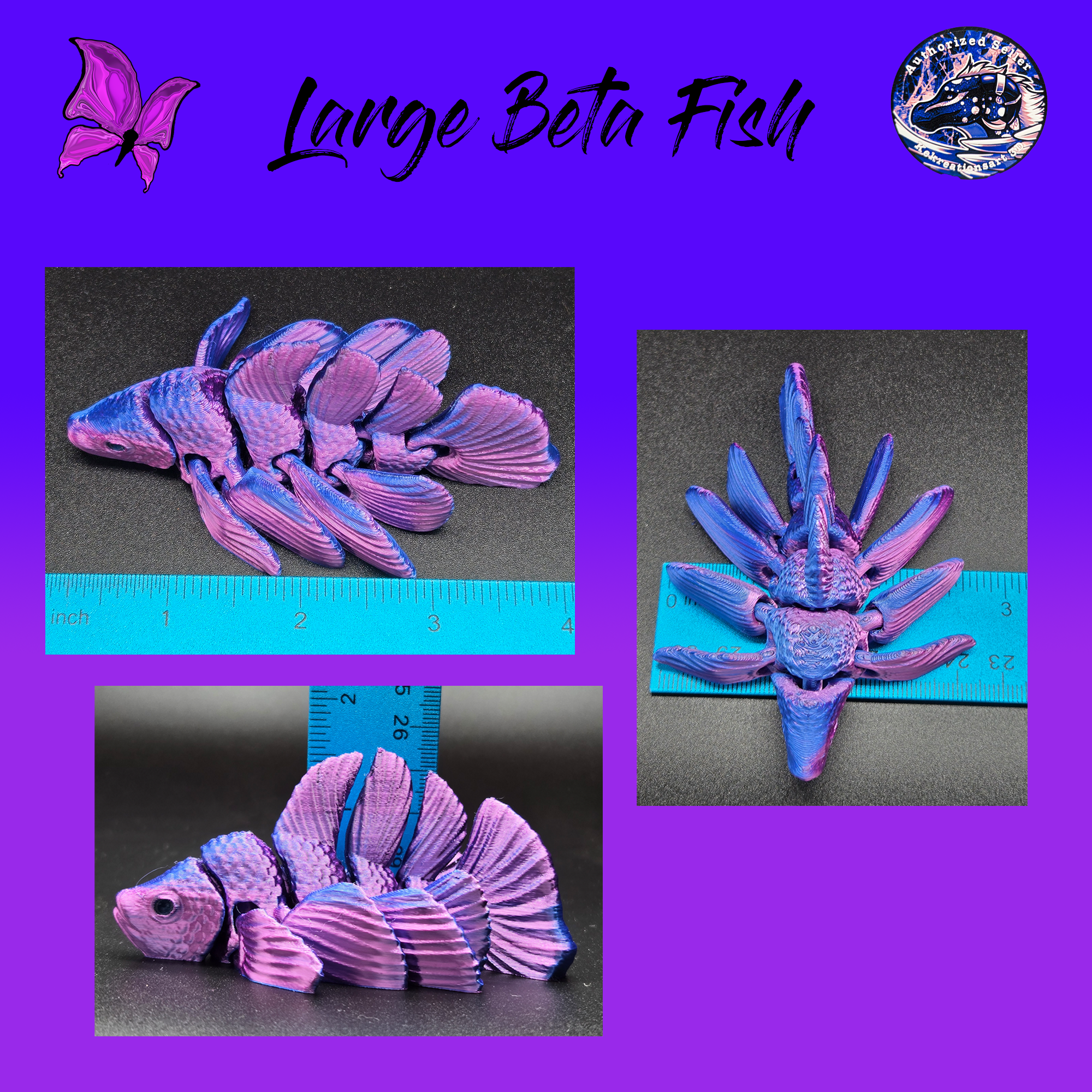 Large Betta Fish