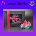 Medium Betta Fish