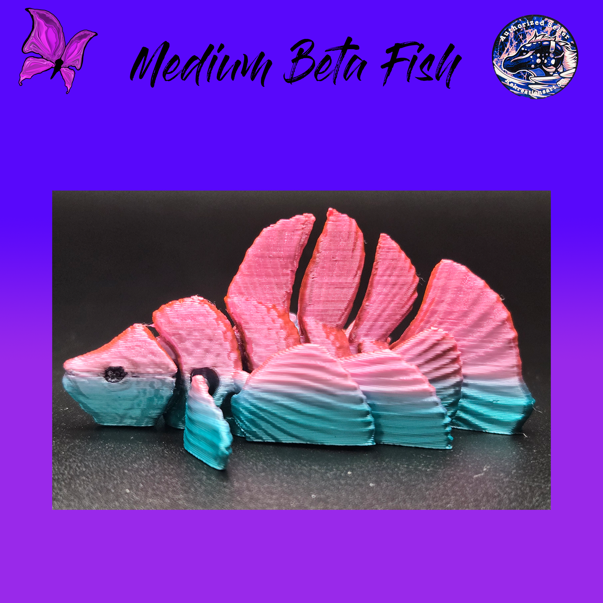 Medium Betta Fish