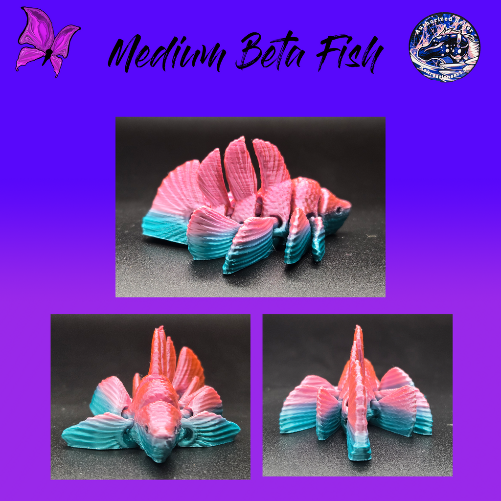 Medium Betta Fish
